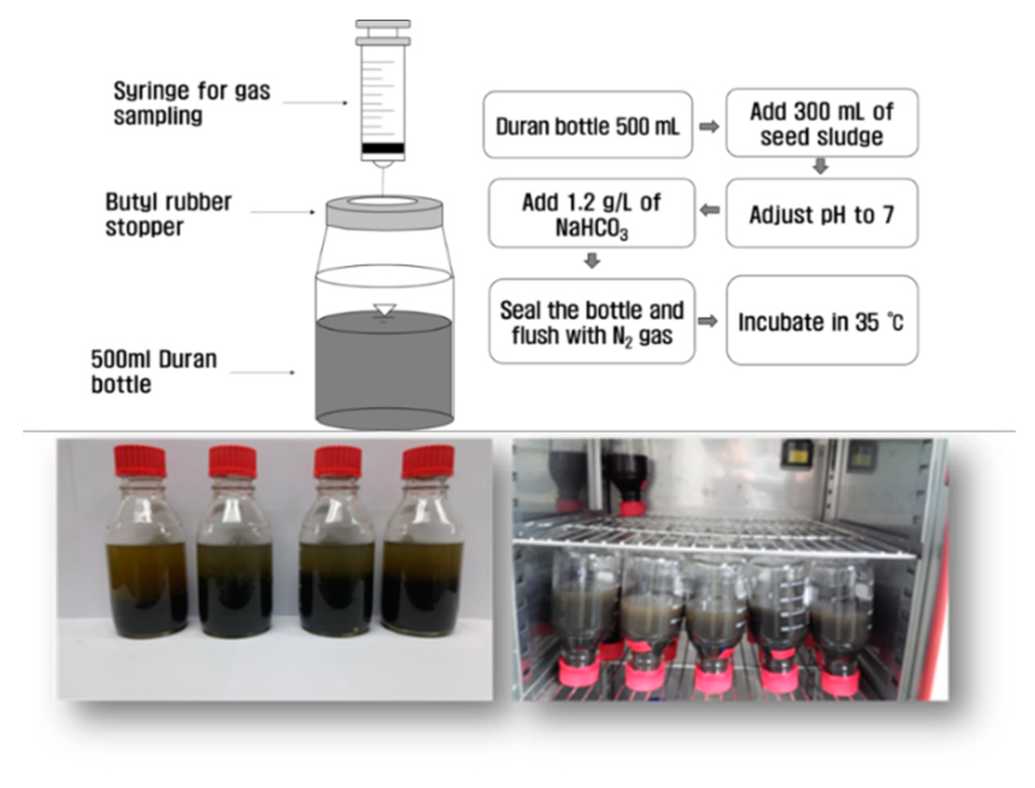 Sustainability 11 07170 g001