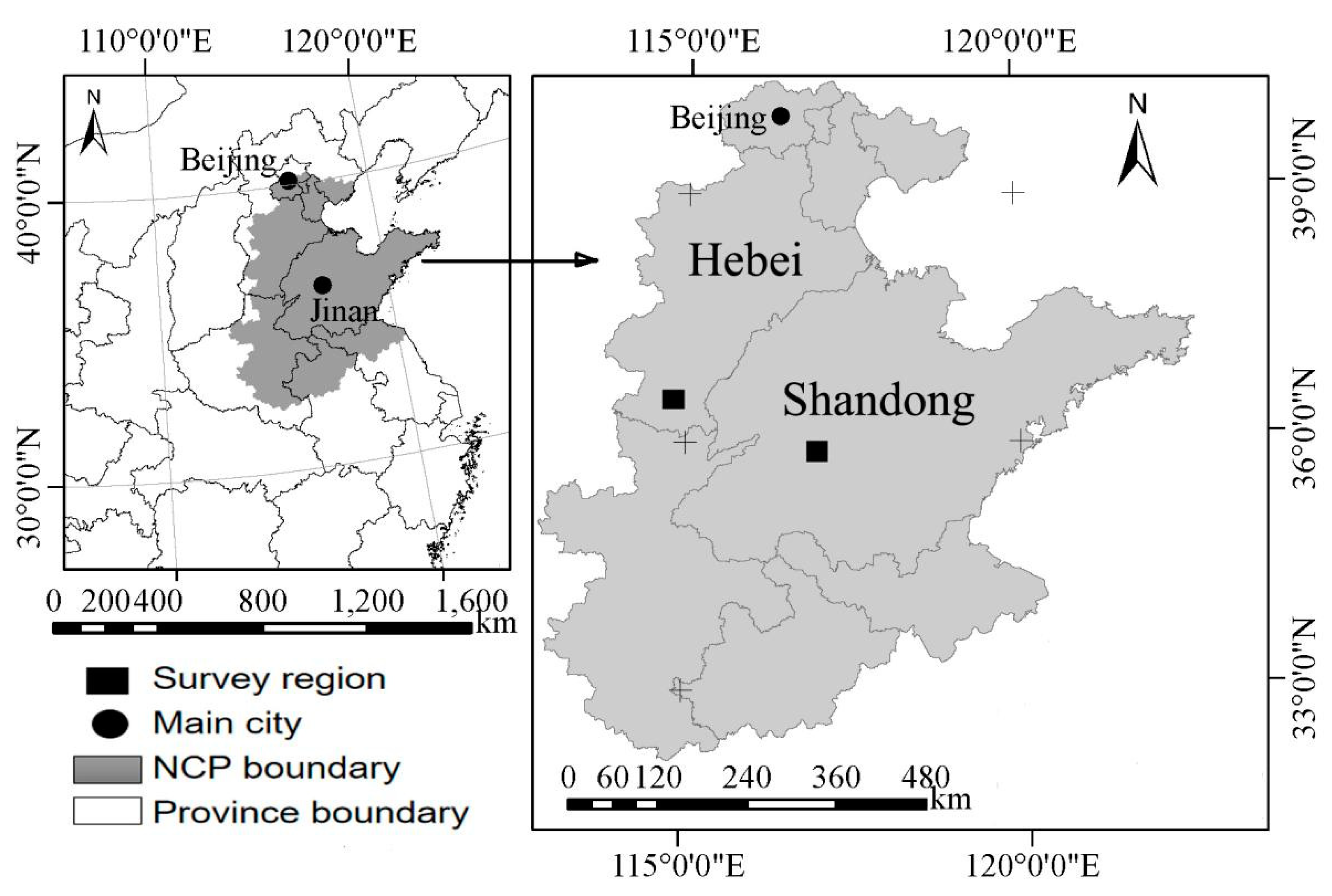 Sustainability 11 07175 g001 Sustainability 11 07175 g001