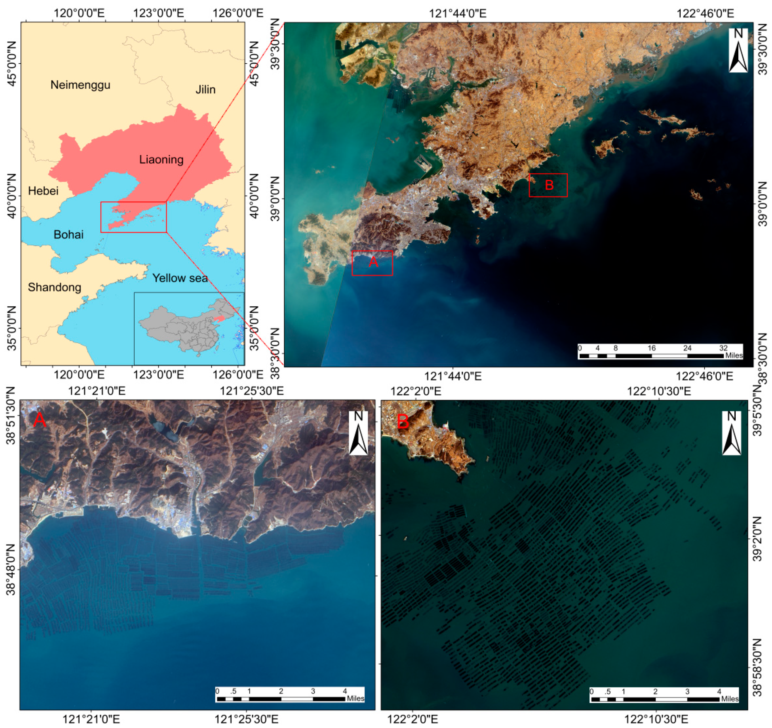Sustainability 11 07186 g001