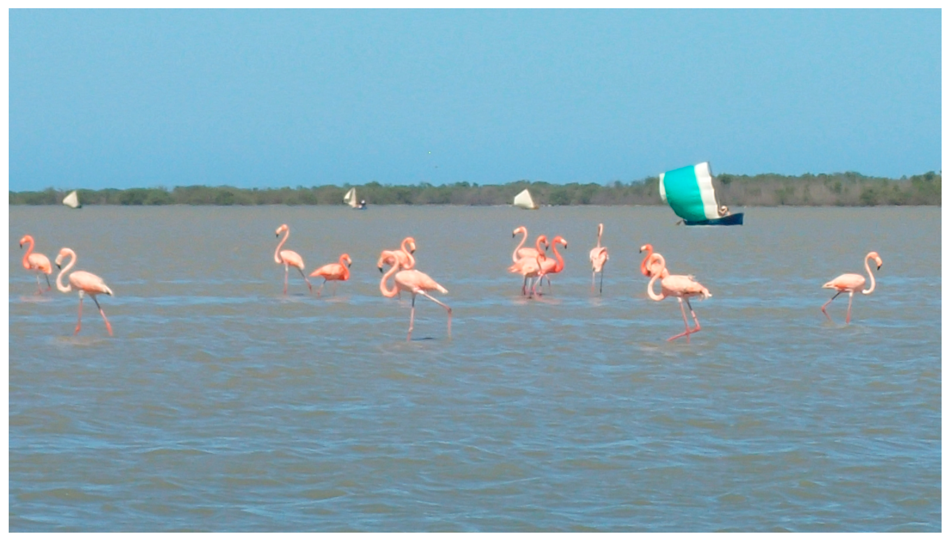 Sustainability 11 07190 g007 Sustainability 11 07190 g007