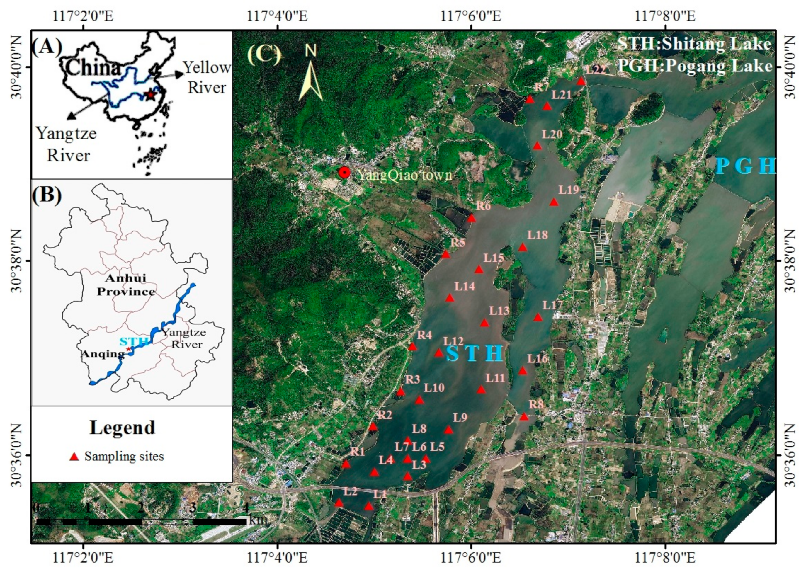 Sustainability 11 07251 g001 Sustainability 11 07251 g001
