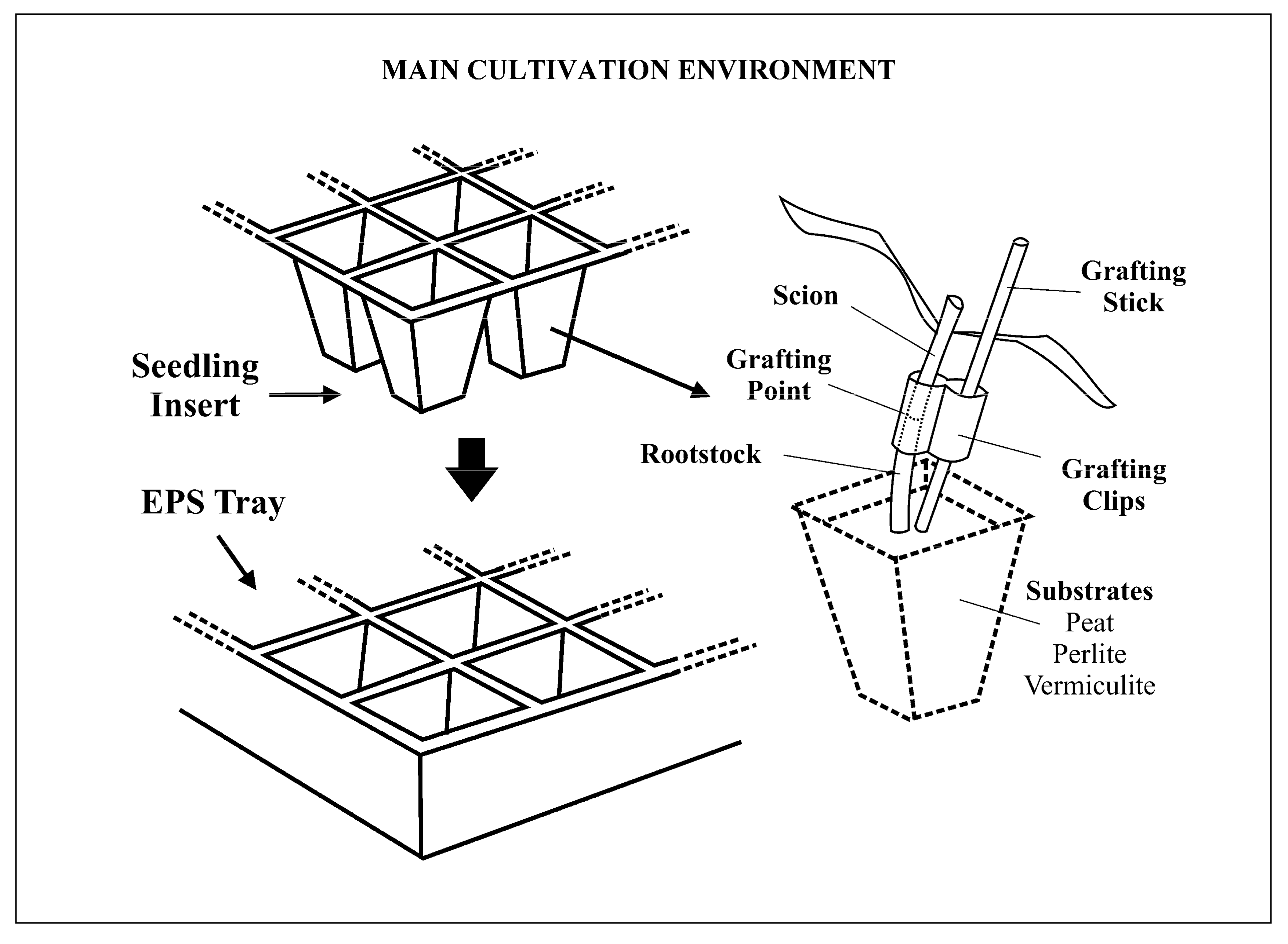 Sustainability 12 00025 g003 Sustainability 12 00025 g003