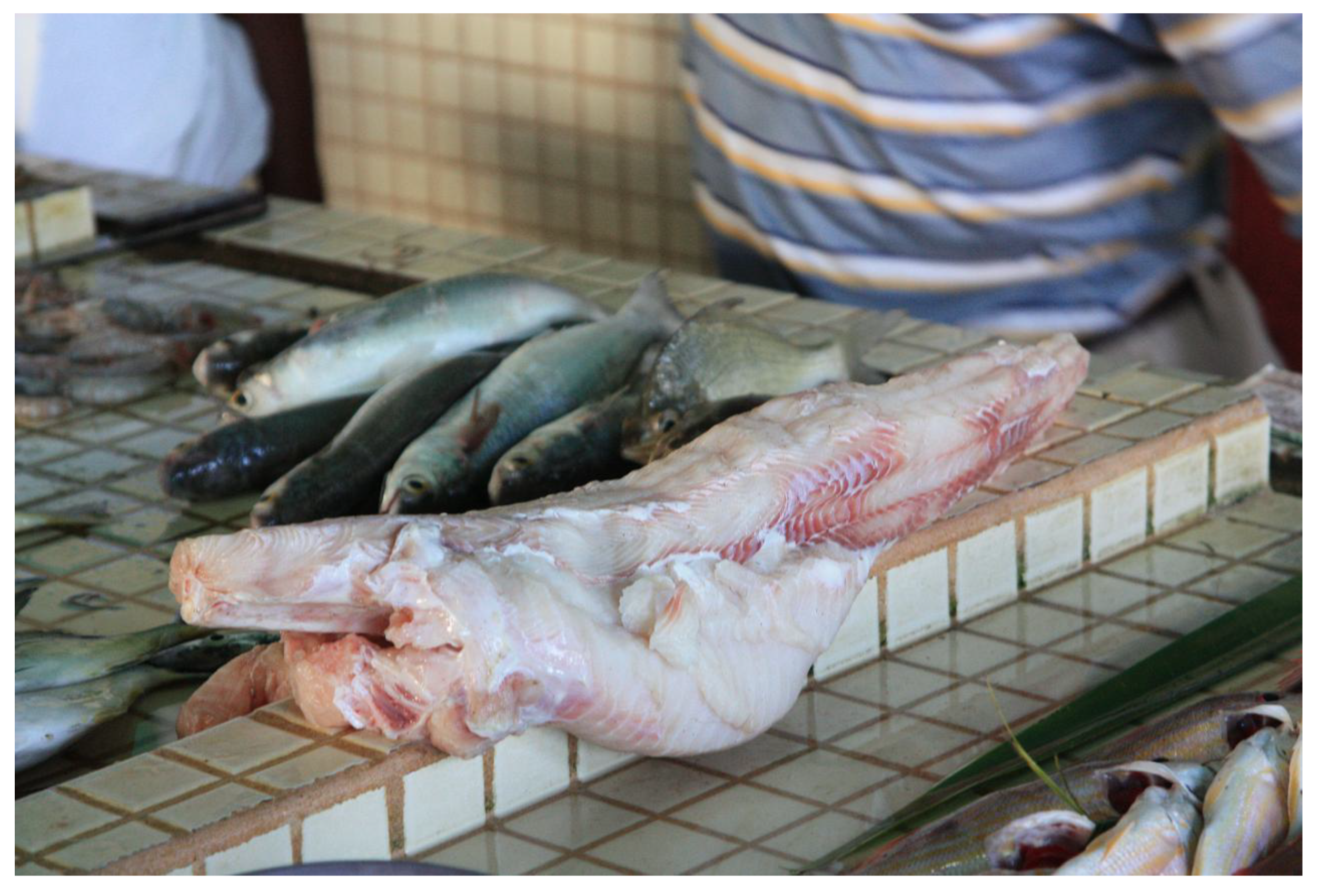 Sustainability 12 00040 g002