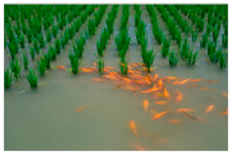 Sustainability 12 00060 i001 Sustainability 12 00060 i001