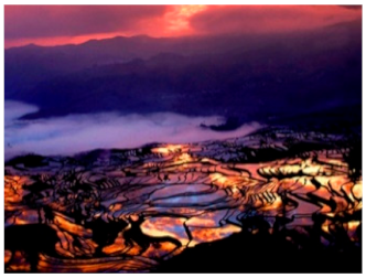 Sustainability 12 00060 i002 Sustainability 12 00060 i002