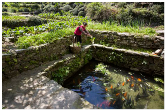 Sustainability 12 00060 i006 Sustainability 12 00060 i006