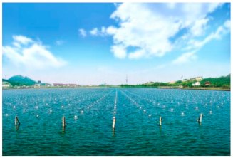 Sustainability 12 00060 i008 Sustainability 12 00060 i008