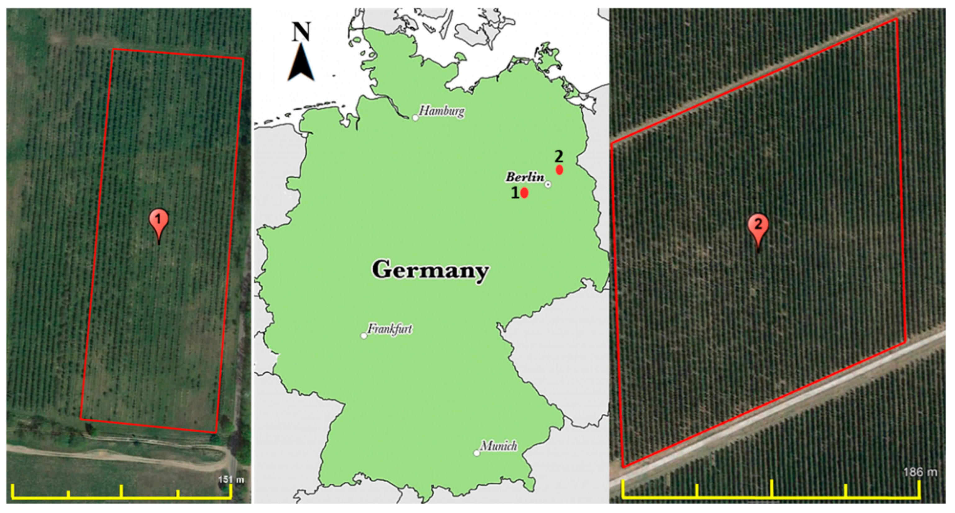 Sustainability 12 00070 g001 Sustainability 12 00070 g001