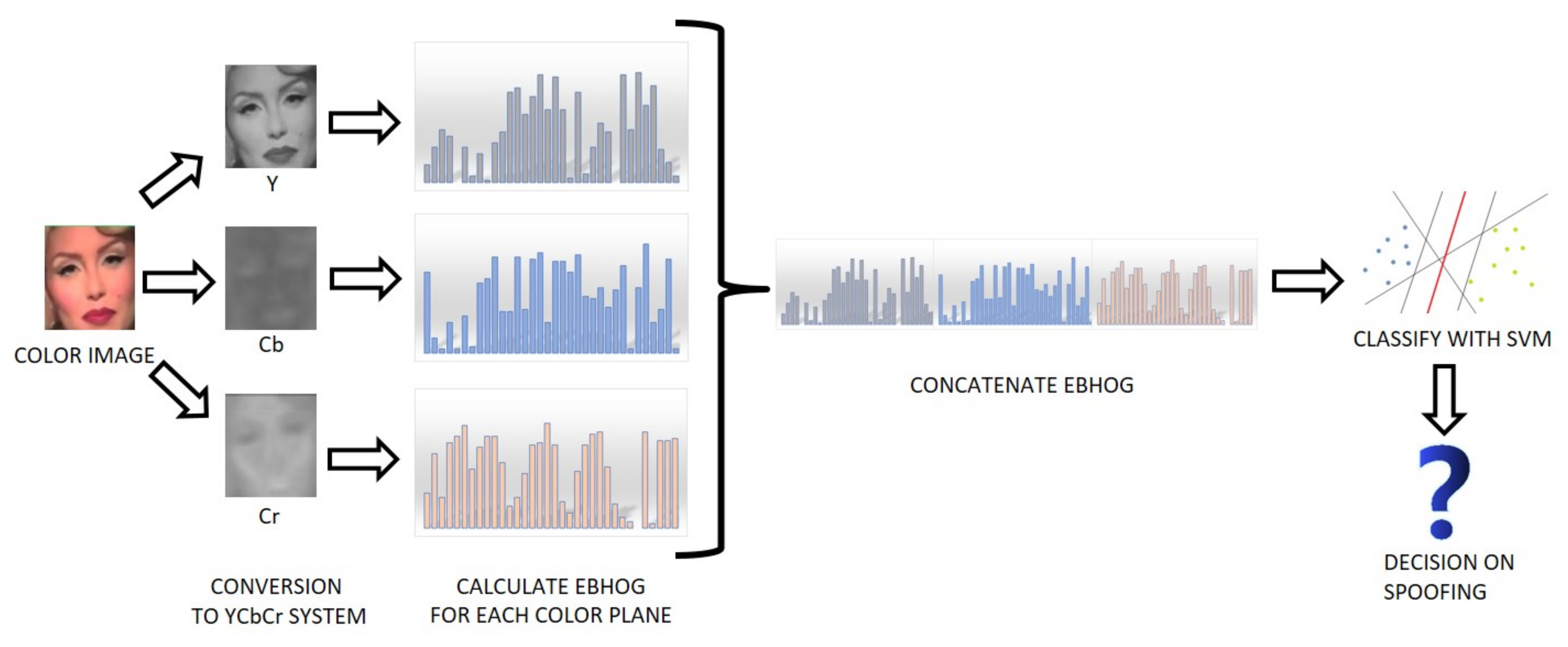 Sustainability 12 00085 g006