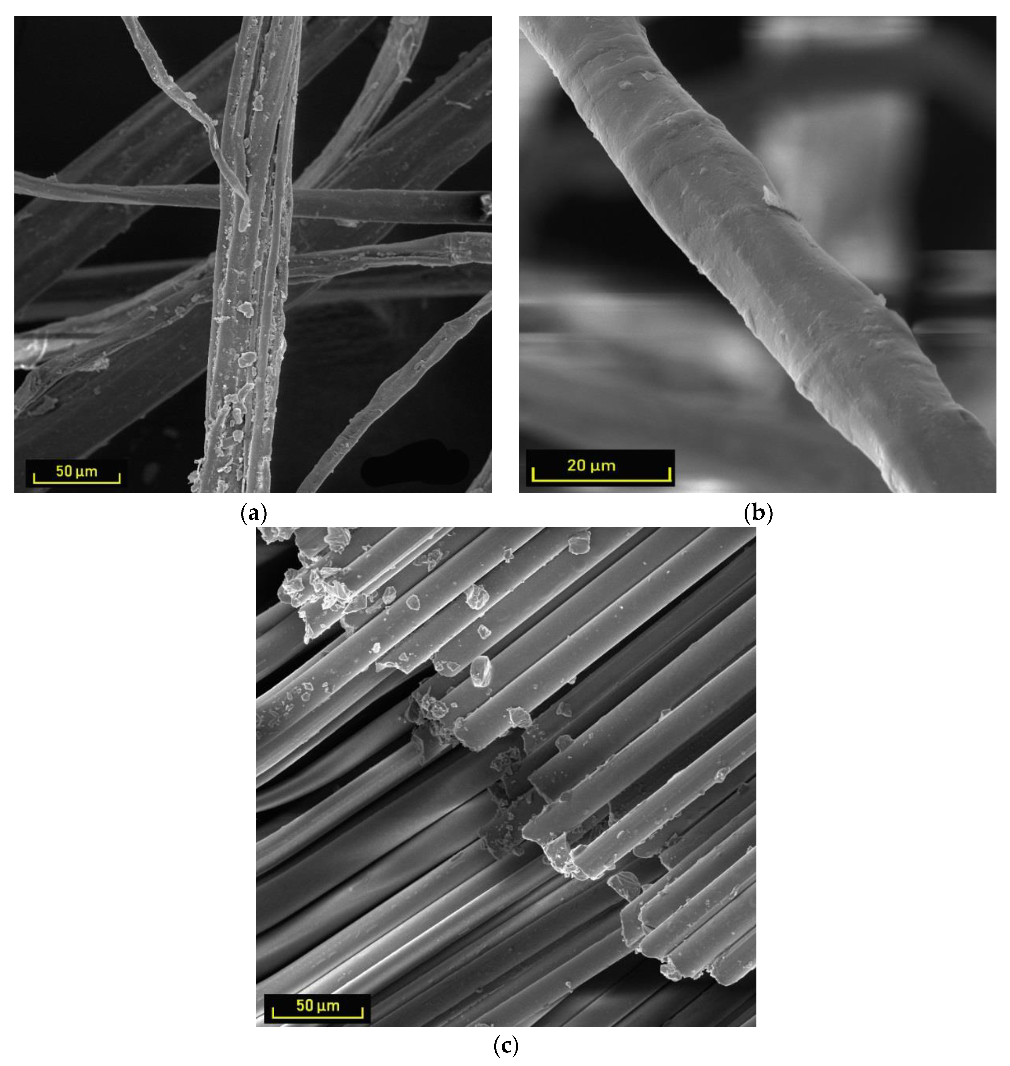 Sustainability 12 00118 g002 Sustainability 12 00118 g002
