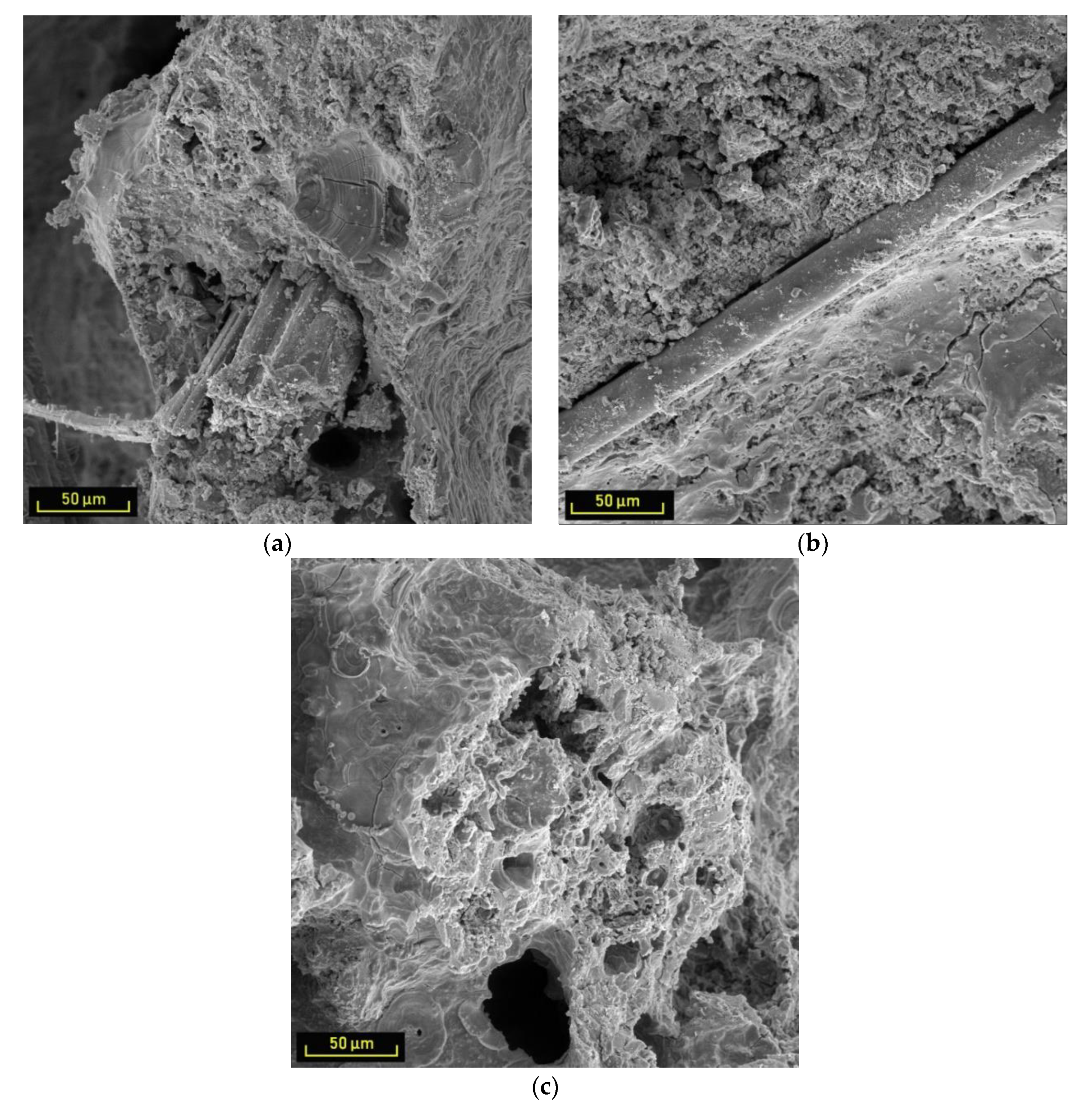 Sustainability 12 00118 g006 Sustainability 12 00118 g006