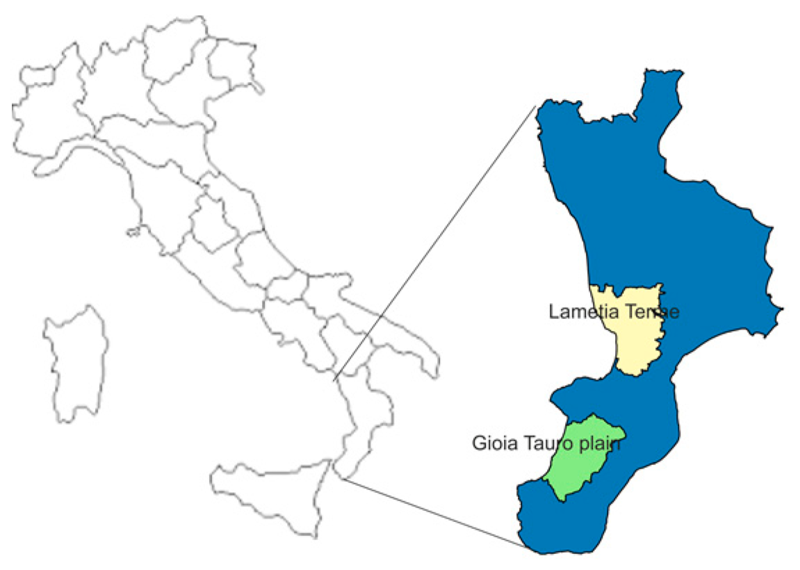 Sustainability 12 00194 g001