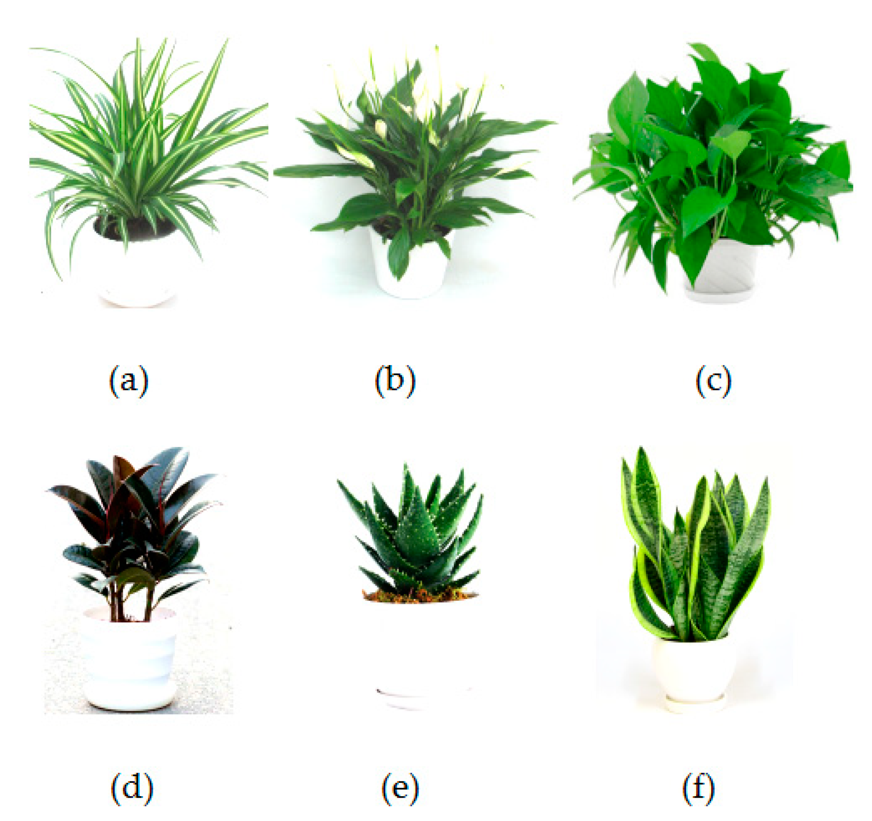 Sustainability 12 00229 g002 Sustainability 12 00229 g002