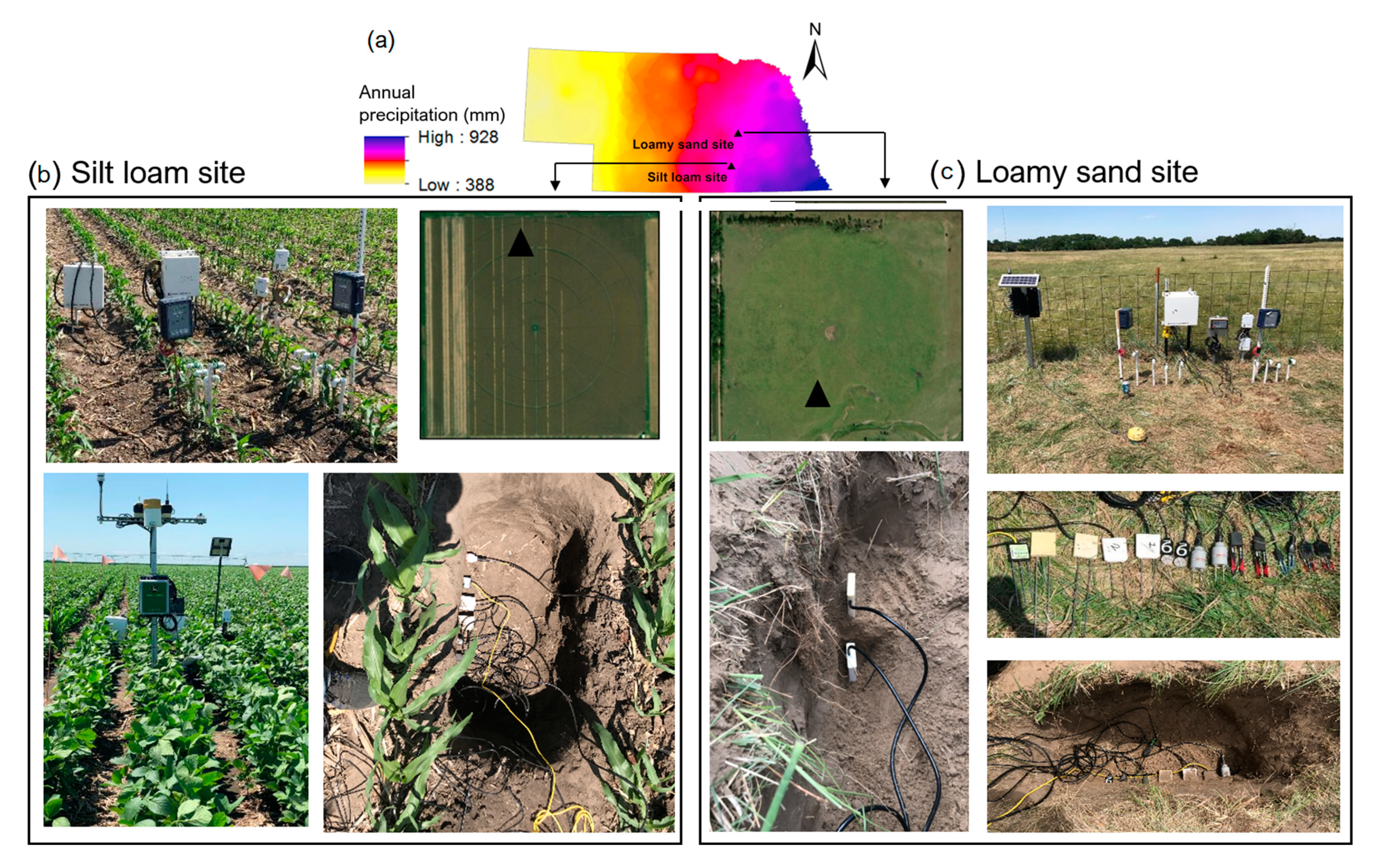 Sustainability 12 00321 g002