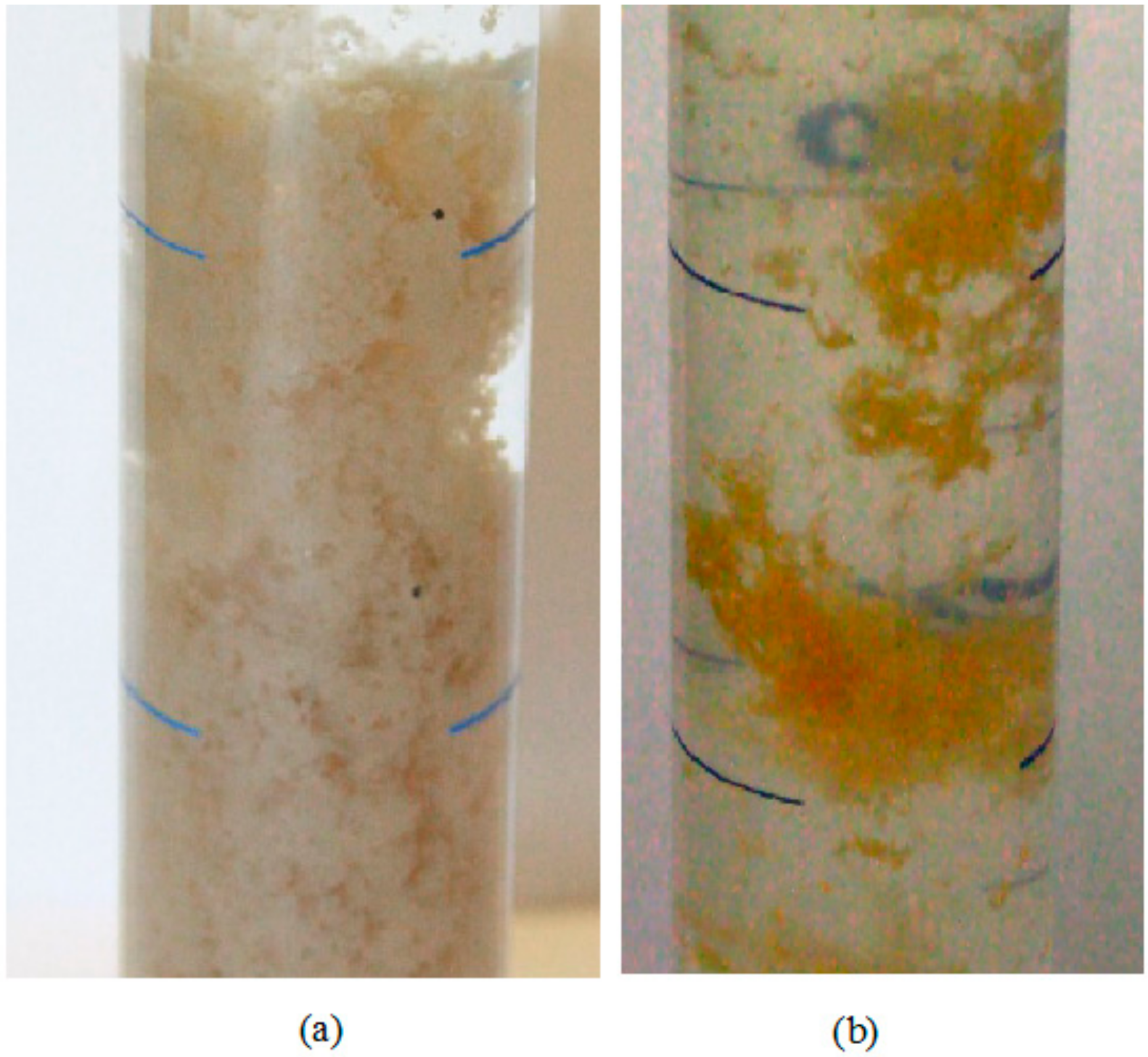 Sustainability 12 00397 g004