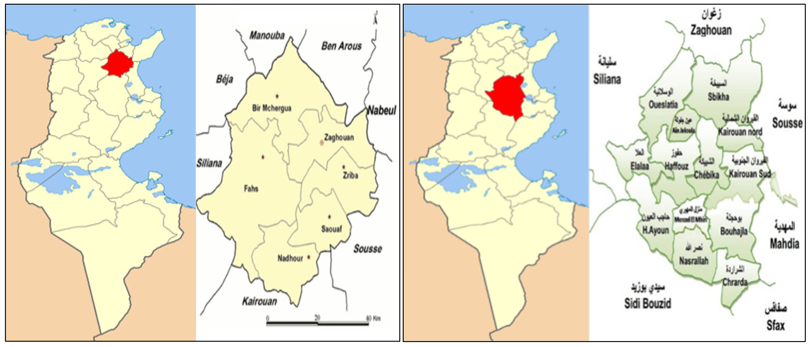 Sustainability 12 00421 g001