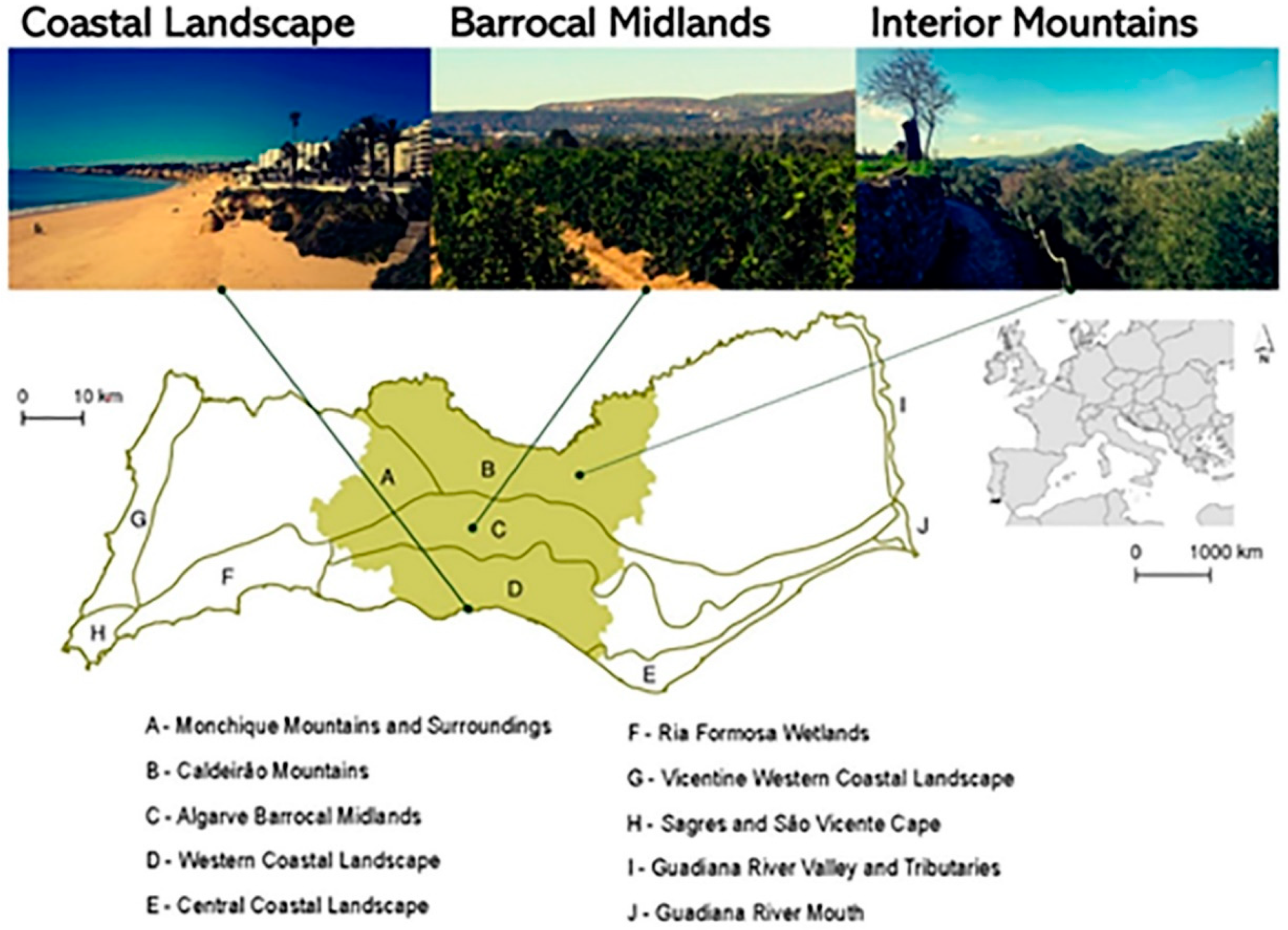 Sustainability 12 00433 g001