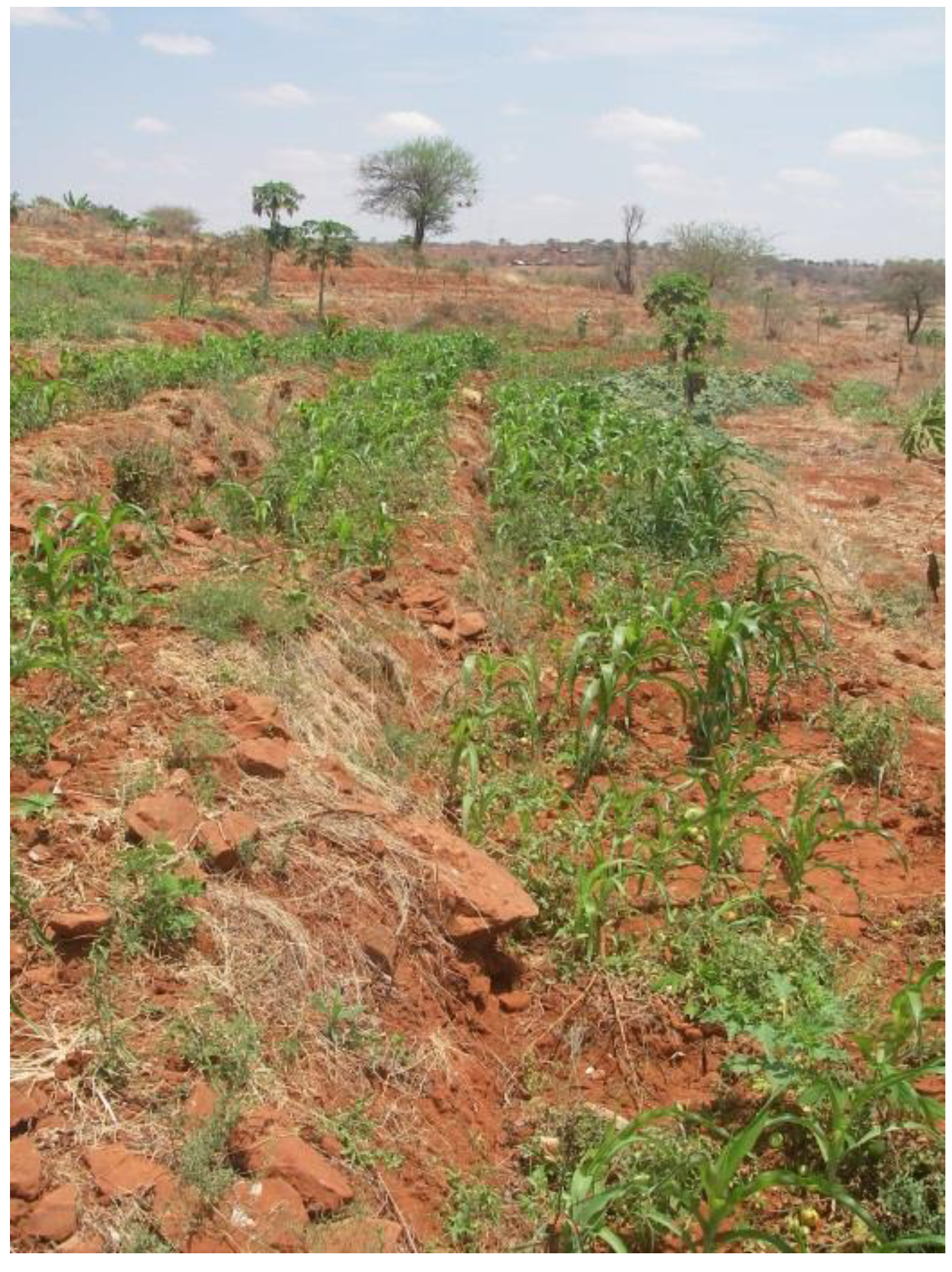 Sustainability 12 00461 g002 Sustainability 12 00461 g002