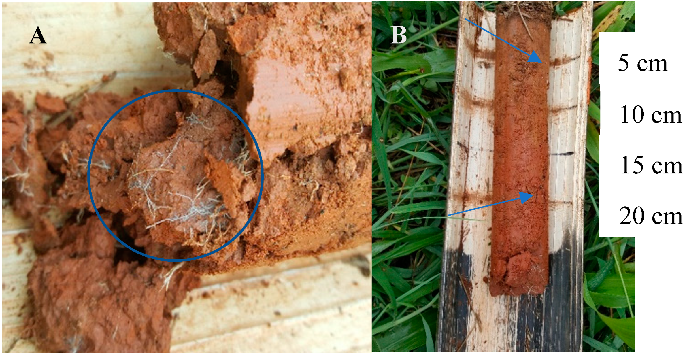 Sustainability 12 00558 g009 Sustainability 12 00558 g009