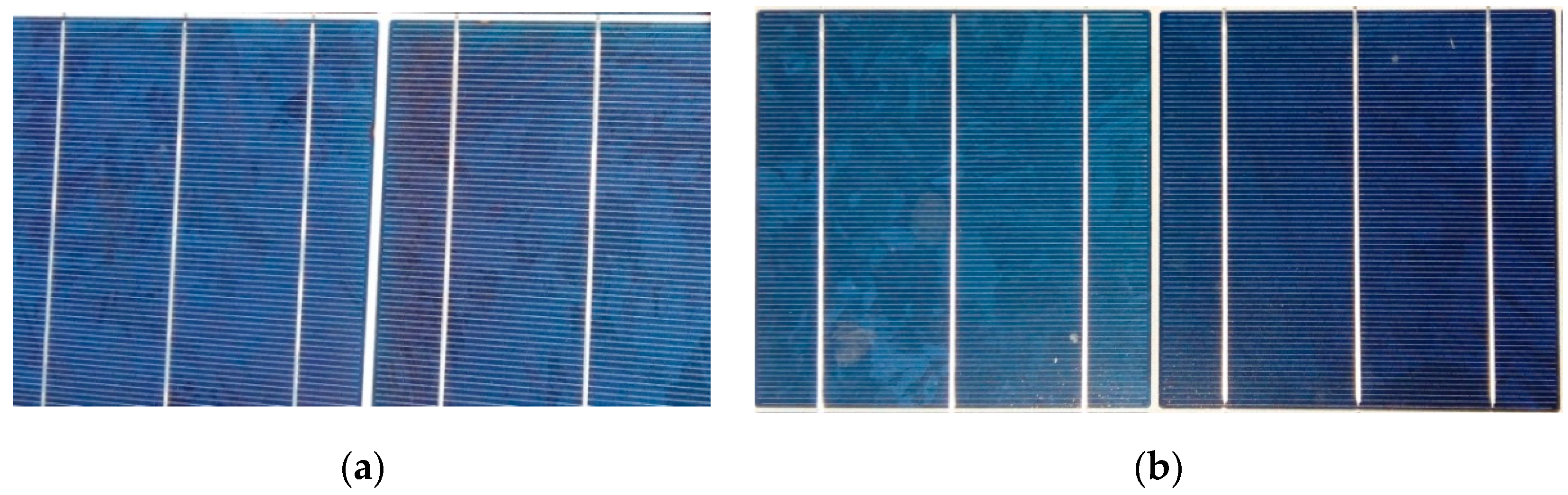 Sustainability 12 00569 g002 Sustainability 12 00569 g002