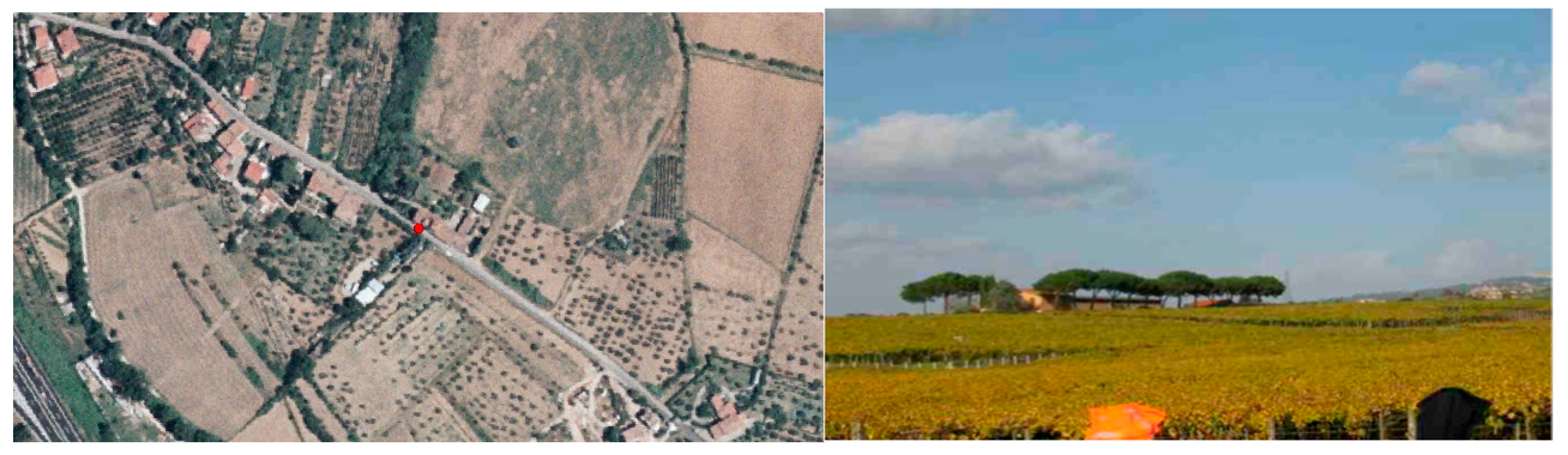 Sustainability 12 00582 g005