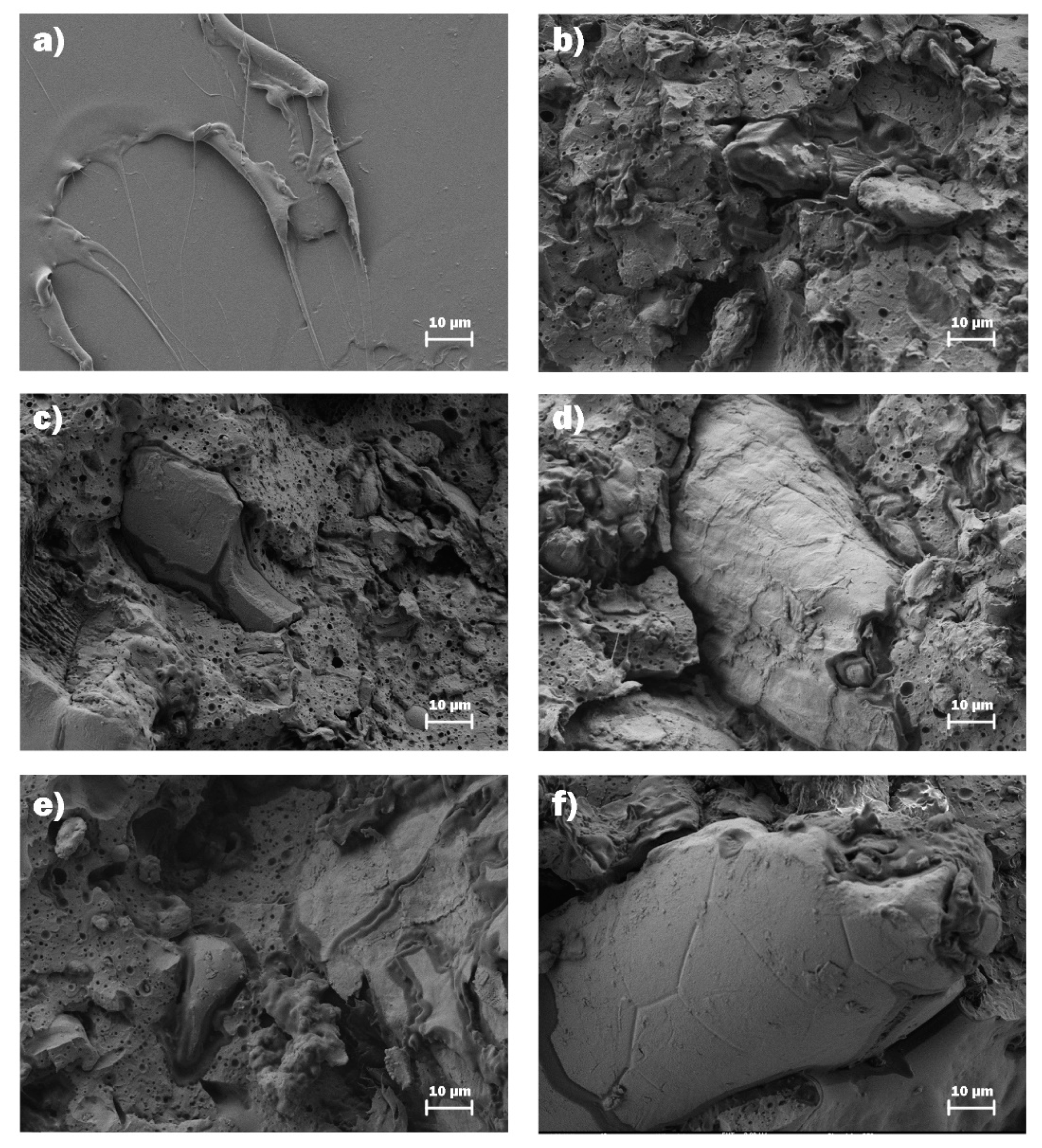 Sustainability 12 00652 g004 Sustainability 12 00652 g004