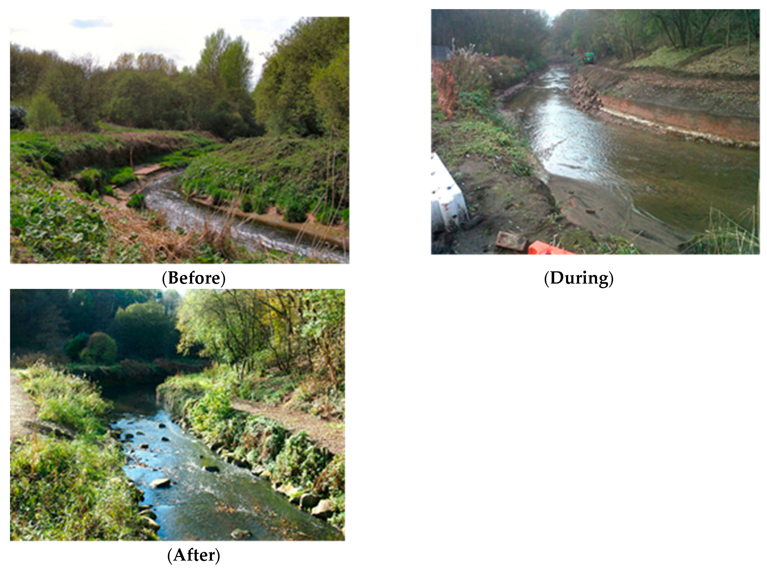 Sustainability 12 00695 g011