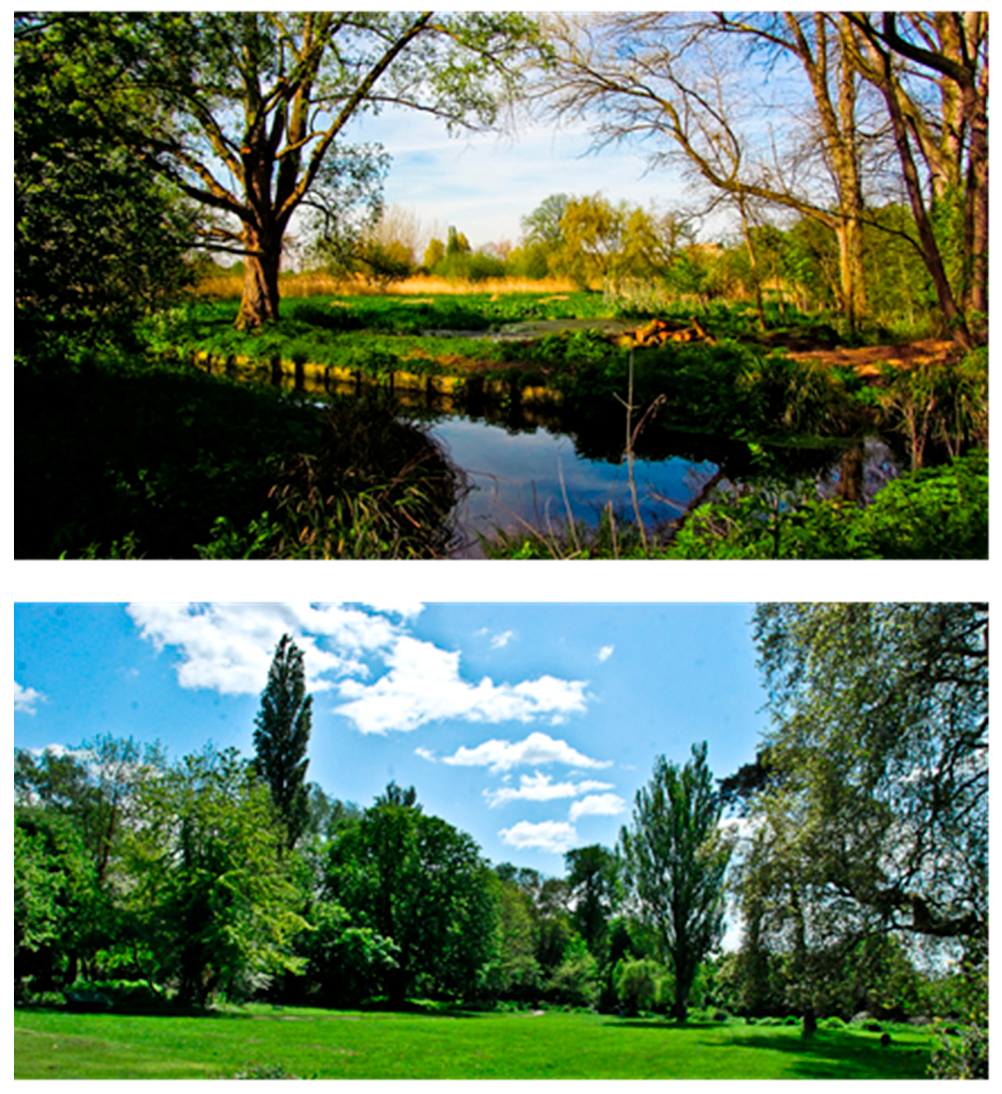 Sustainability 12 00695 g012