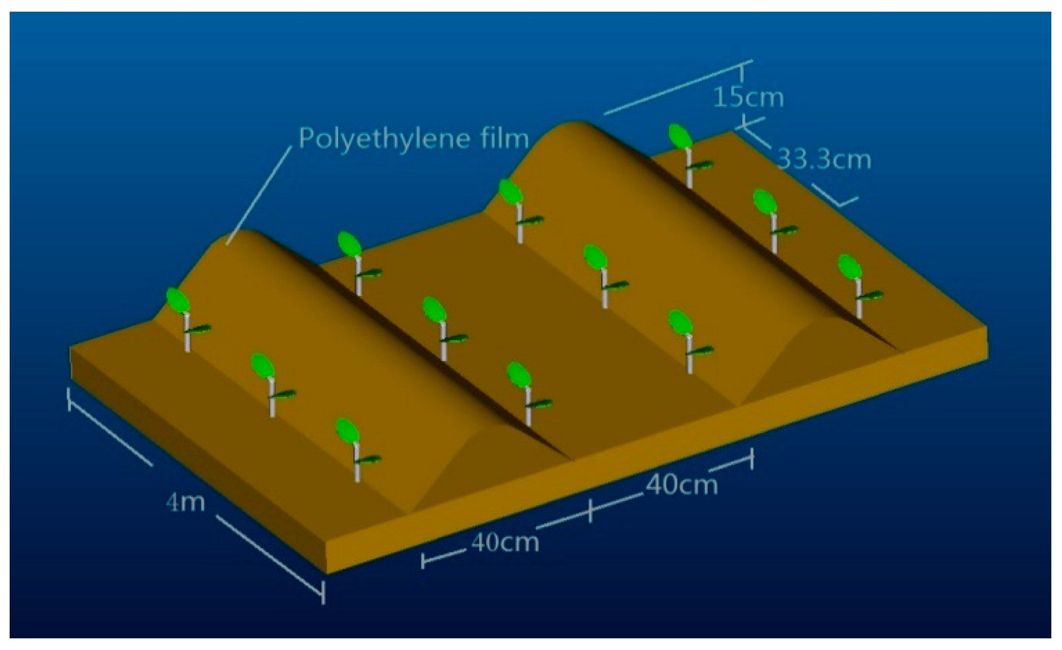 Sustainability 12 00703 g001a