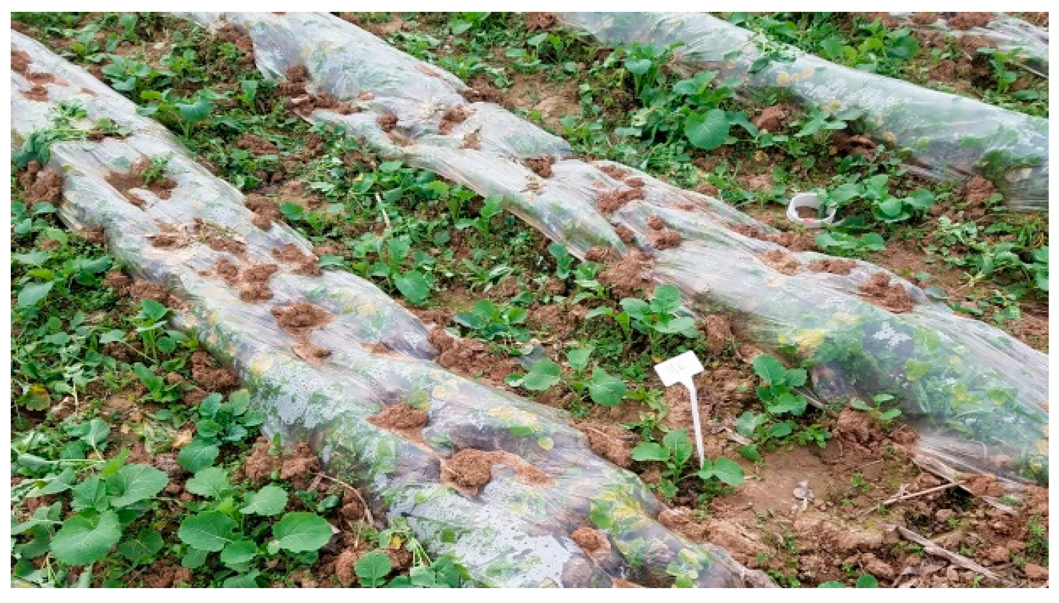 Sustainability 12 00703 g001b