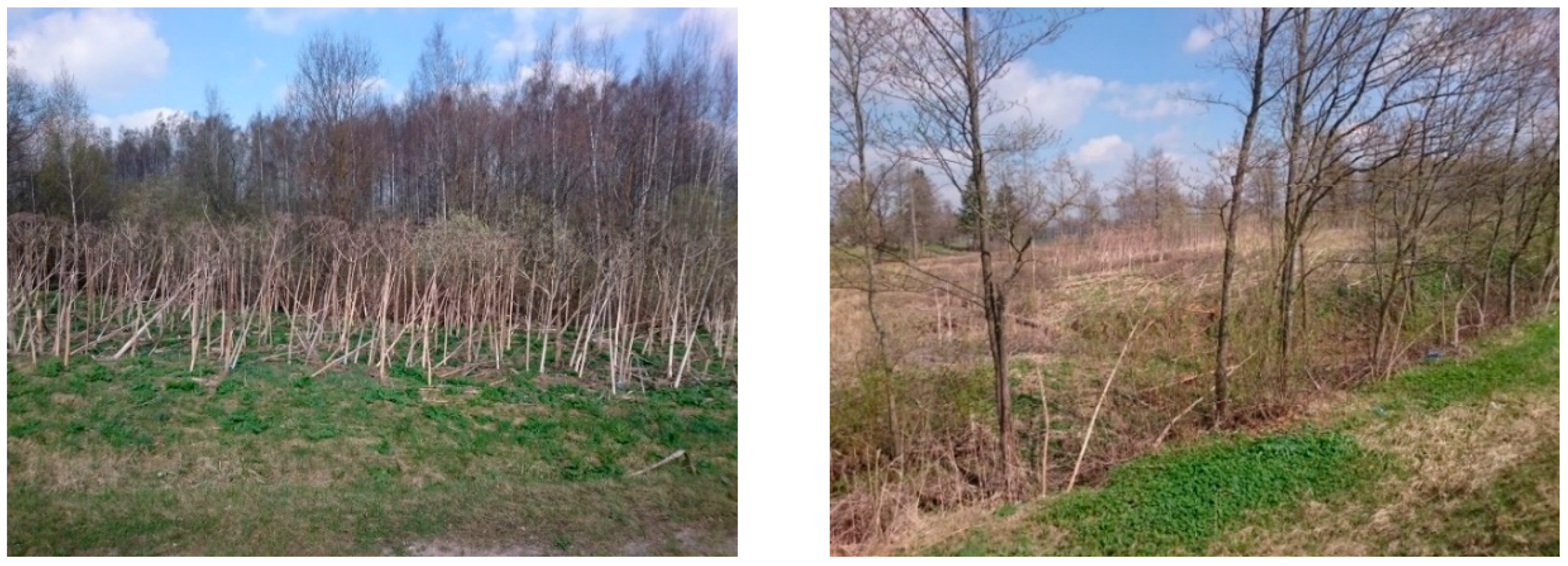 Sustainability 12 00759 g003 Sustainability 12 00759 g003