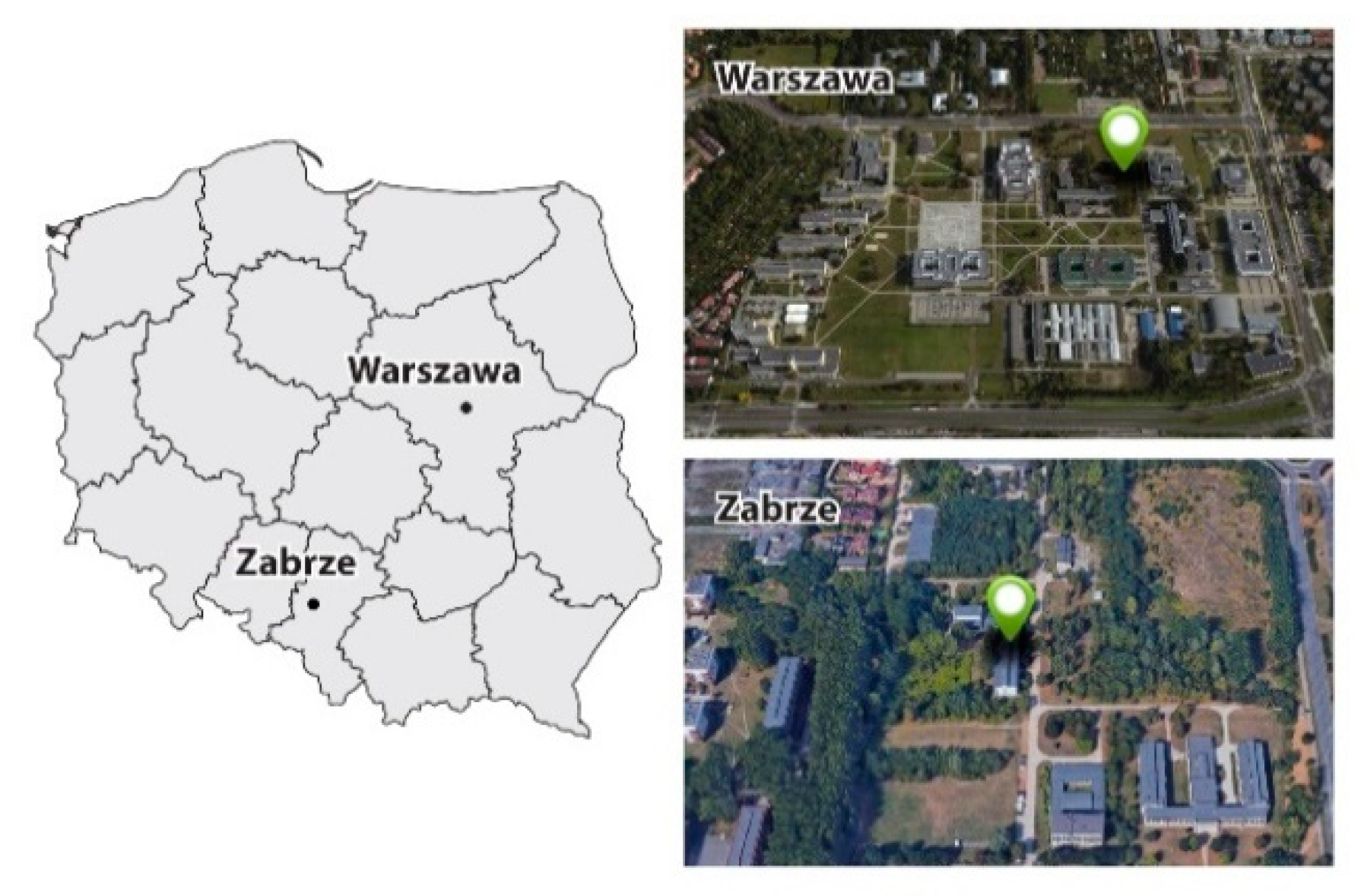 Sustainability 12 00837 g001 Sustainability 12 00837 g001