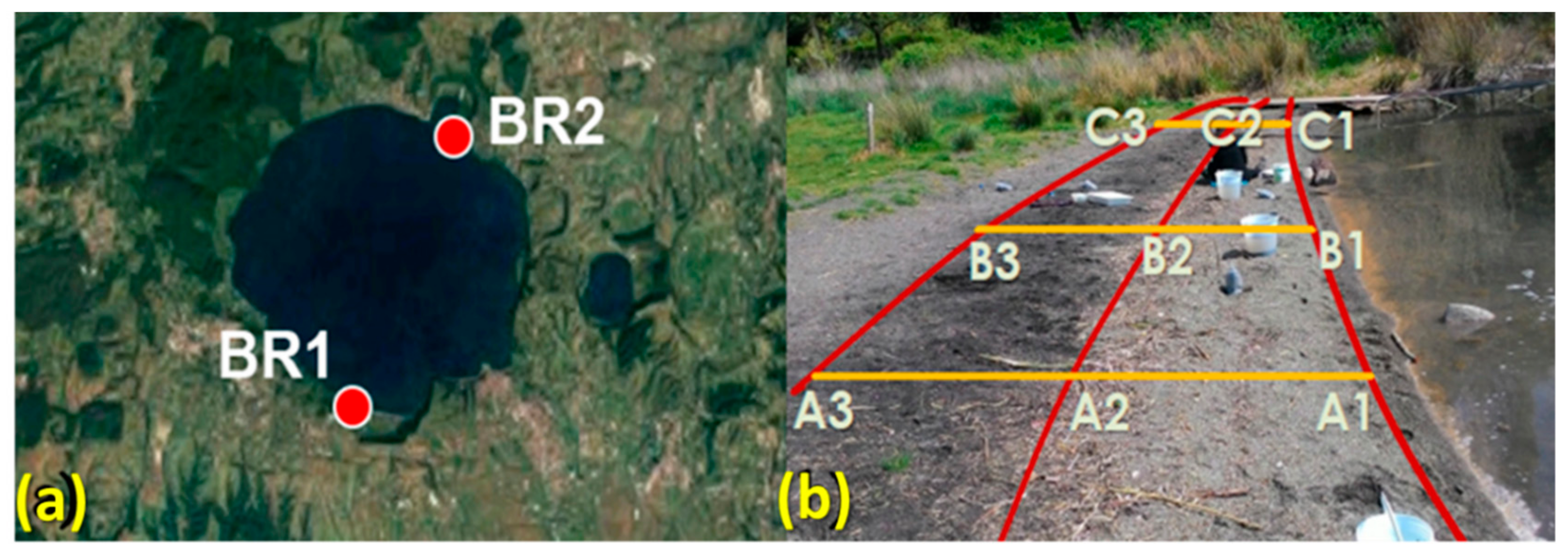 Sustainability 12 00878 g001 Sustainability 12 00878 g001