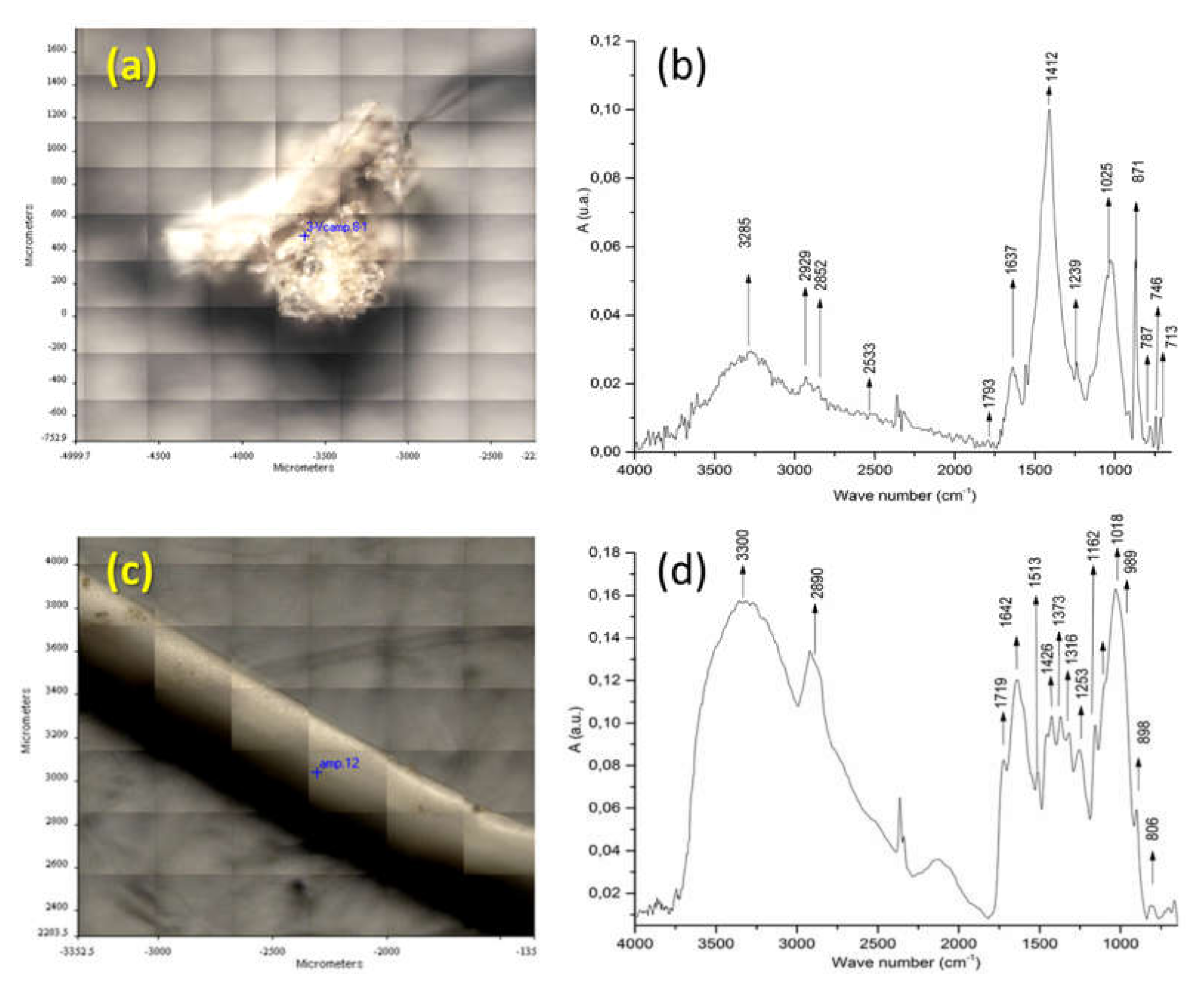 Sustainability 12 00878 g003 Sustainability 12 00878 g003