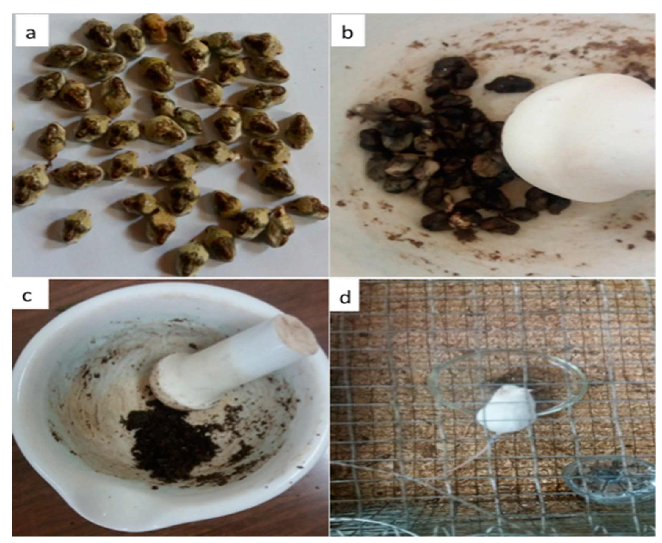 Sustainability 12 00942 g002 Sustainability 12 00942 g002