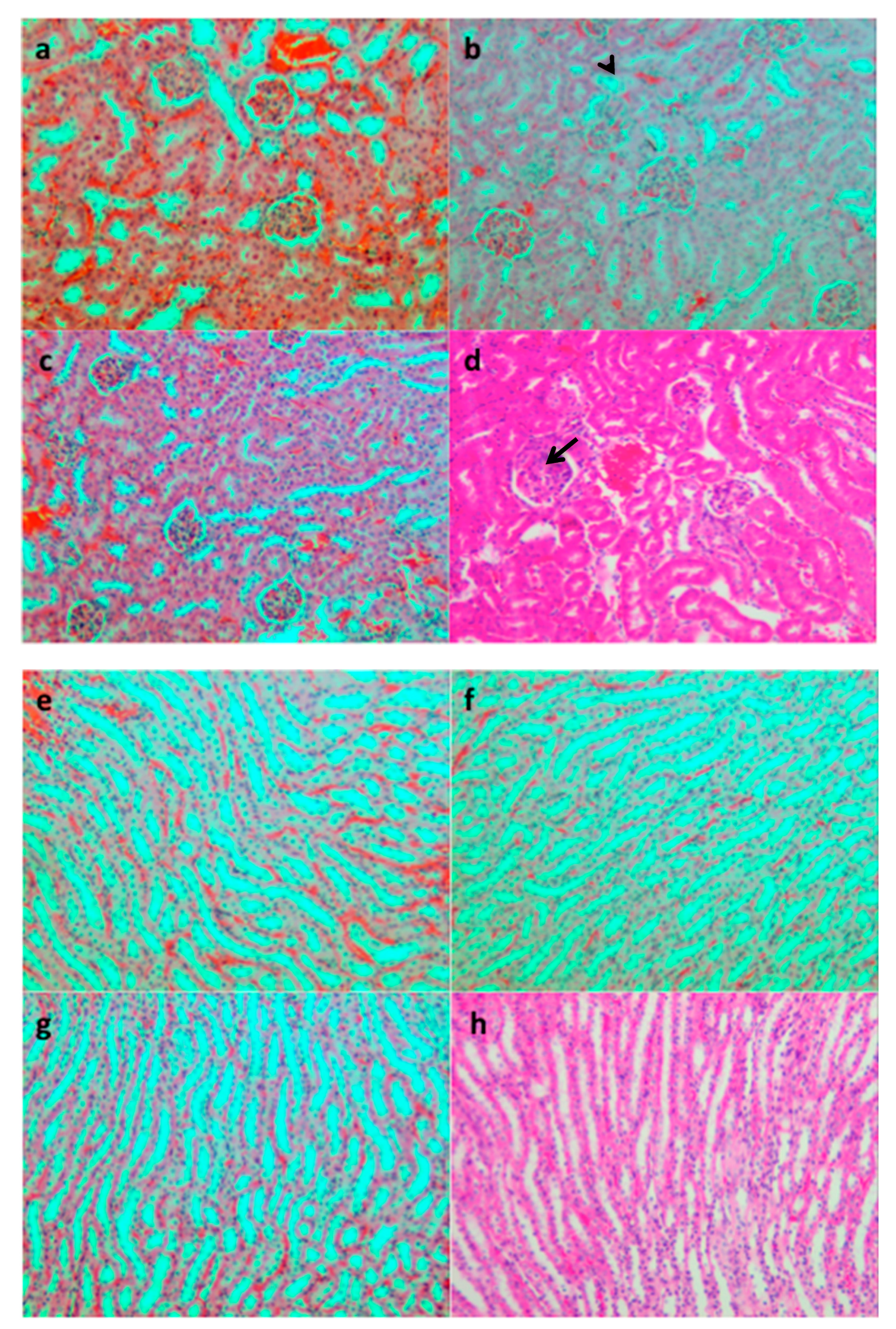 Sustainability 12 00942 g003 Sustainability 12 00942 g003