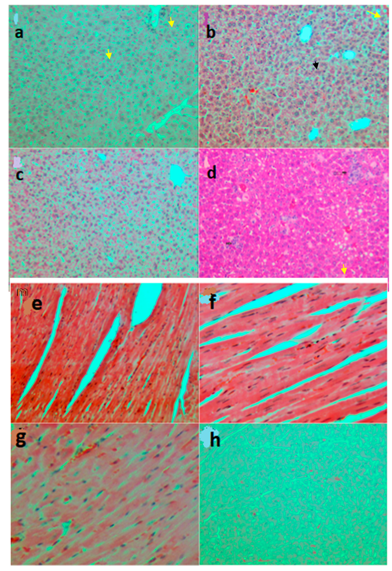 Sustainability 12 00942 g004 Sustainability 12 00942 g004