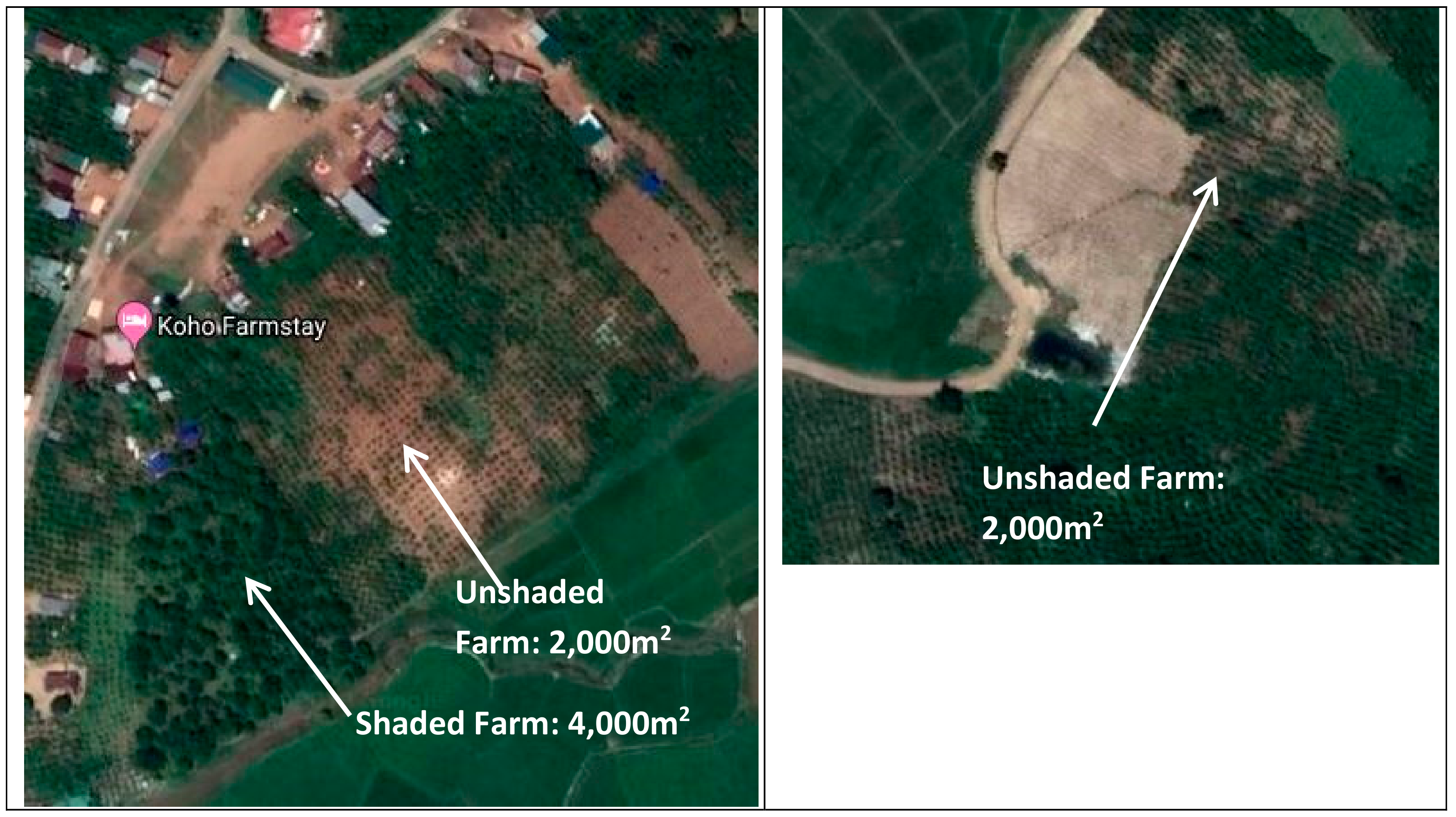 Sustainability 12 01010 g003