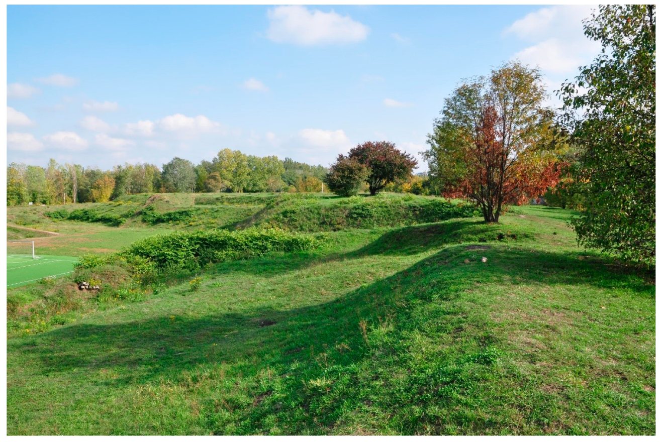 Sustainability 12 01043 g005