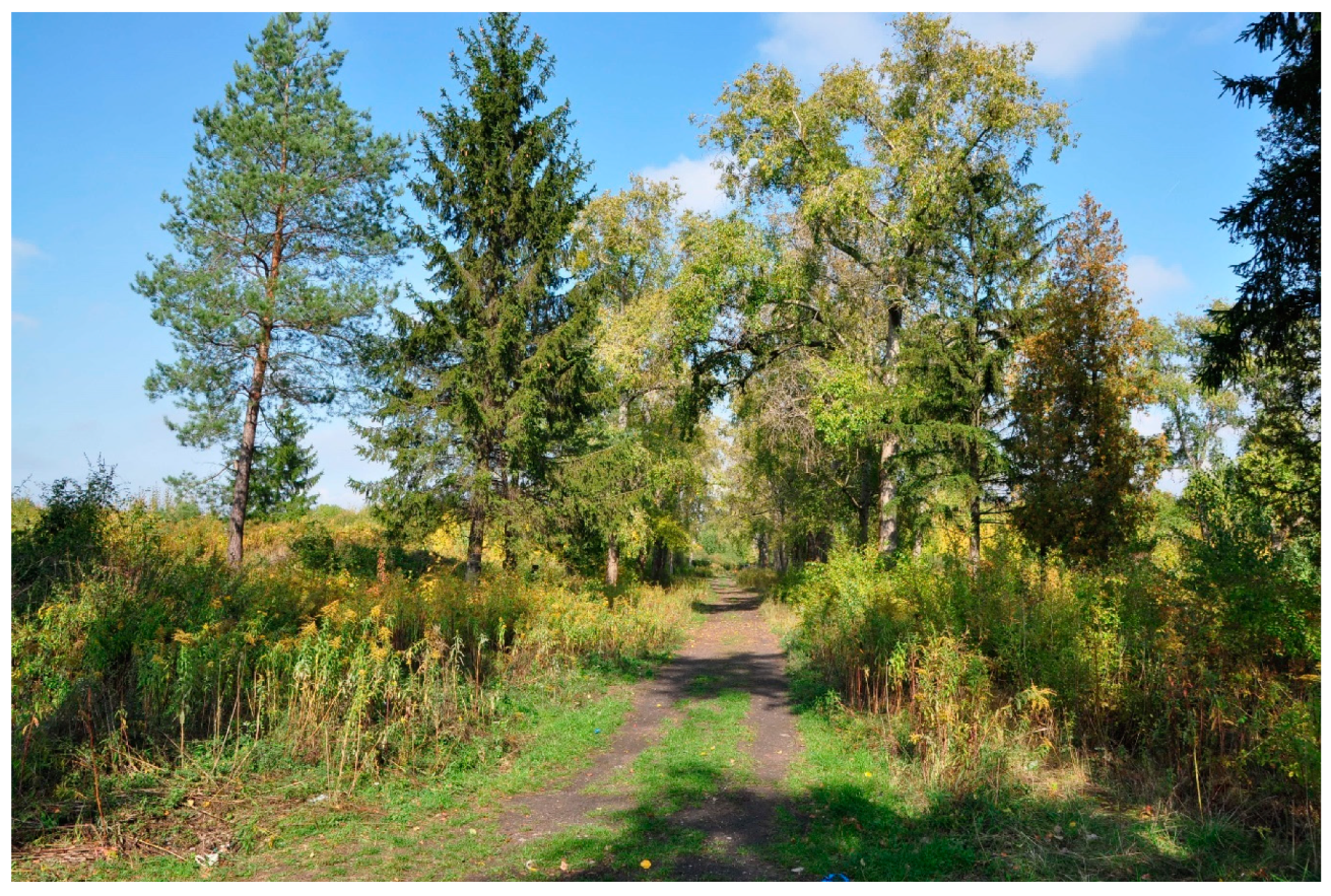 Sustainability 12 01043 g007