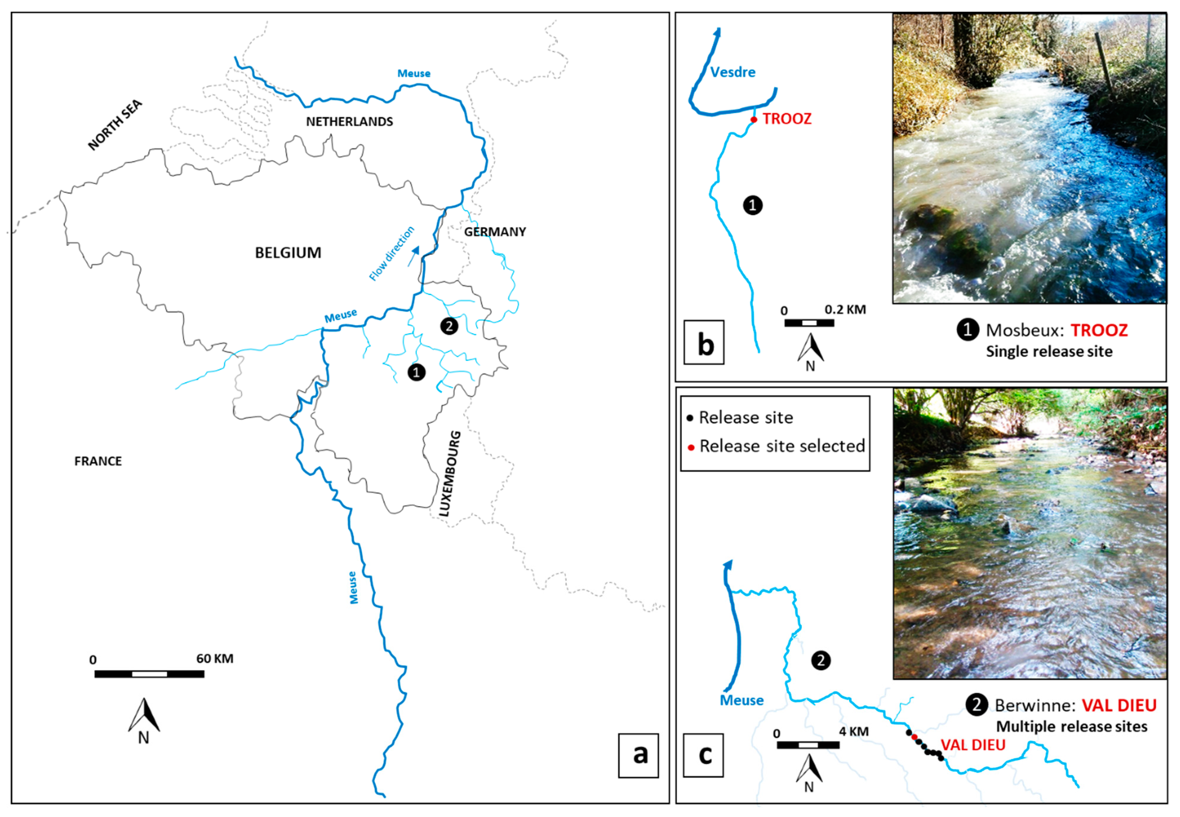 Sustainability Free Full Text An Evaluation Of Restocking Practice And Demographic Stock Assessment Methods For Cryptic Juvenile European Eel In Upland Rivers Html