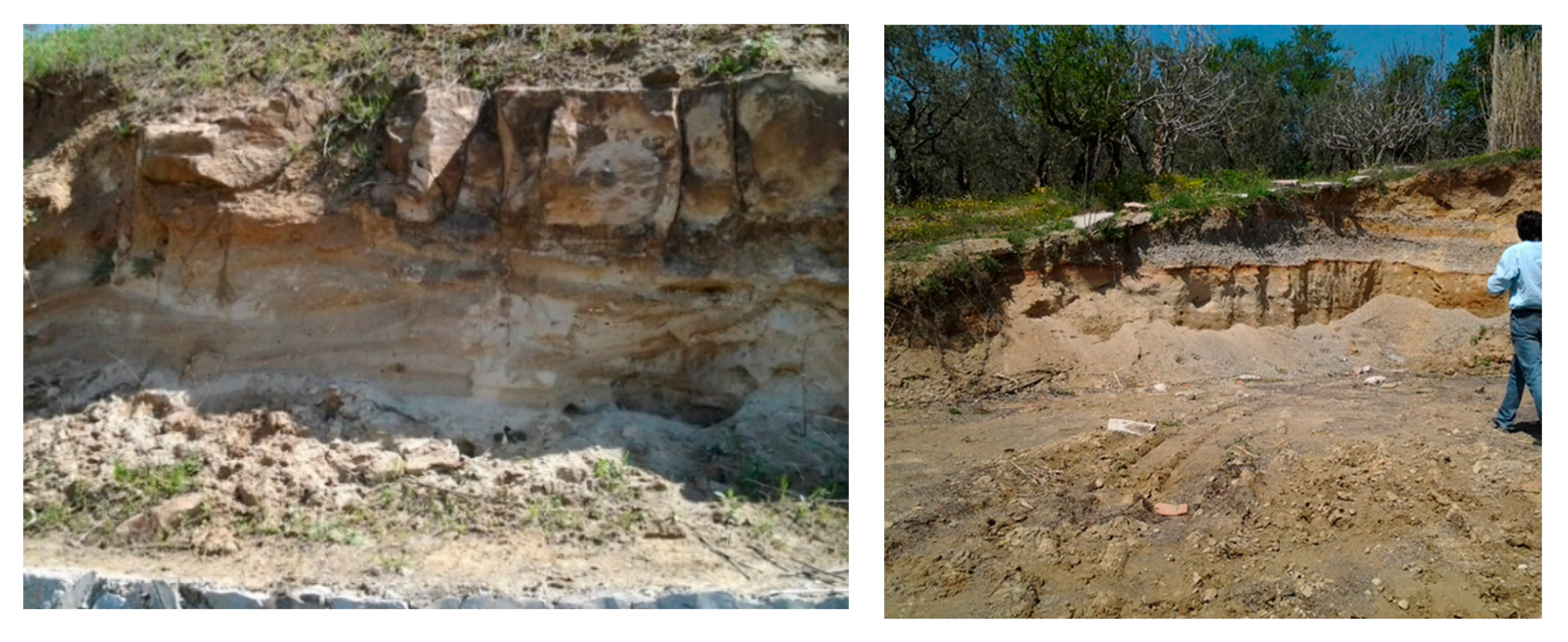 Sustainability 12 01166 g002 550