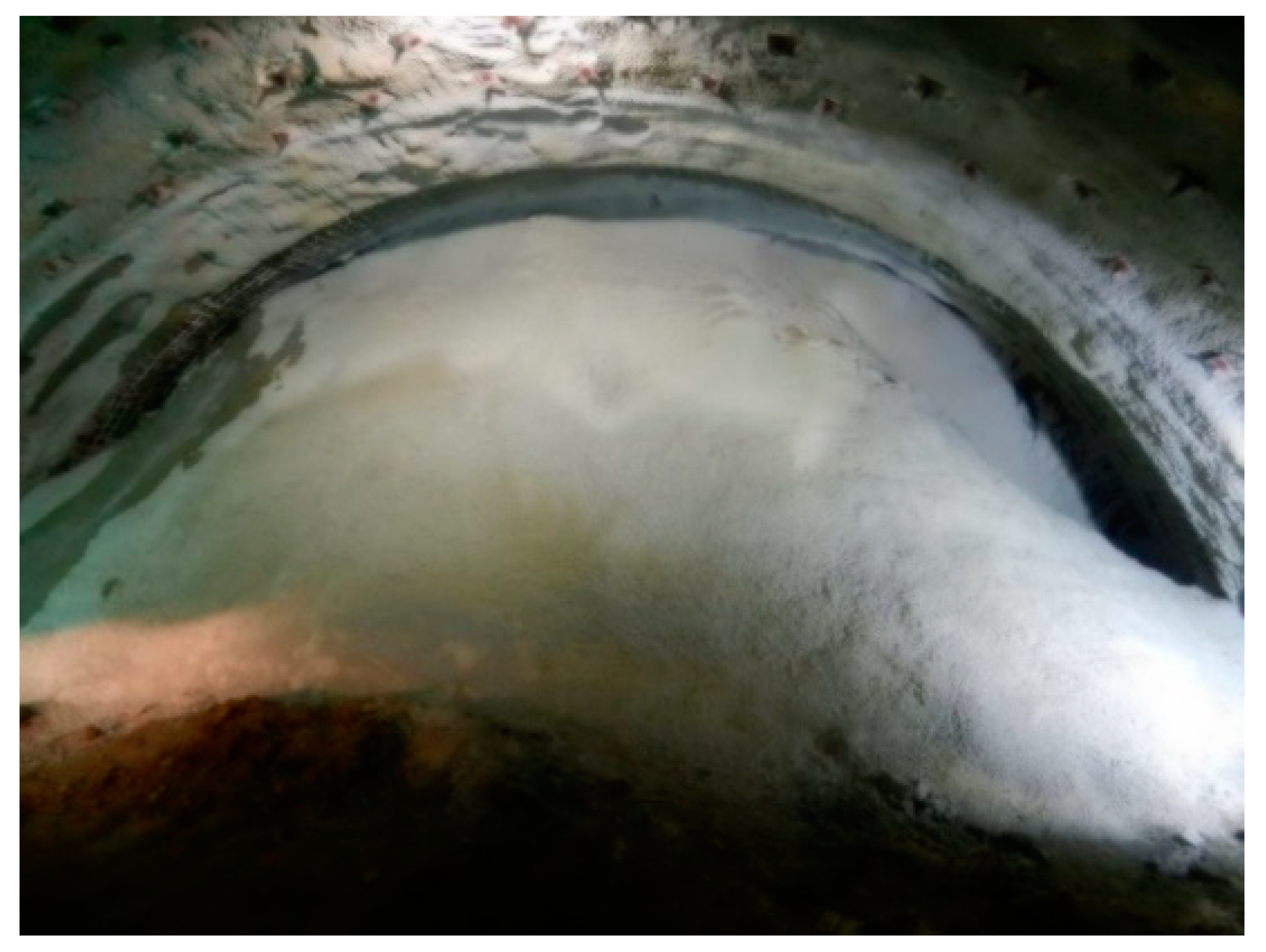 Sustainability 12 01166 g025 550