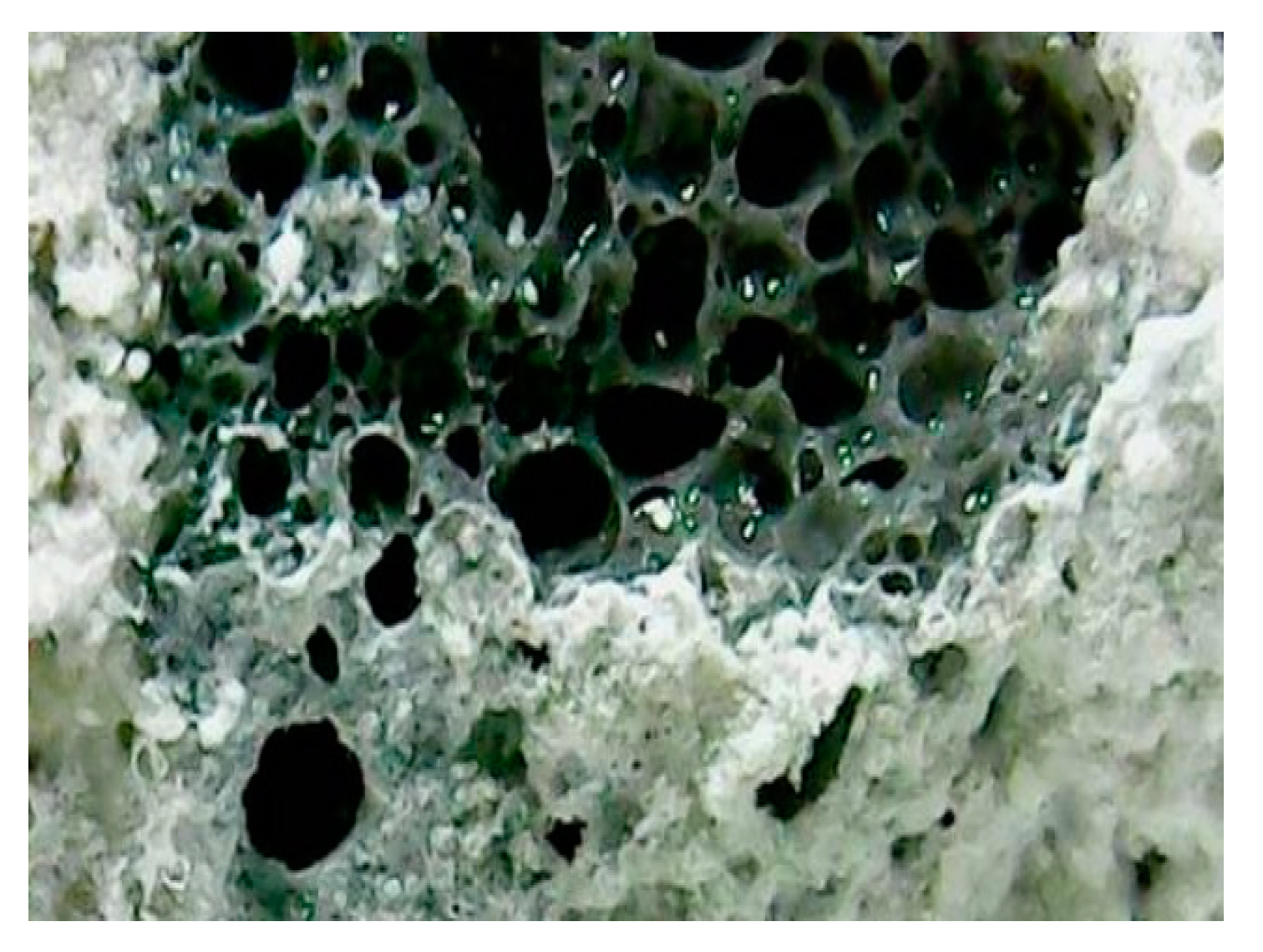 Sustainability 12 01242 g004 Sustainability 12 01242 g004