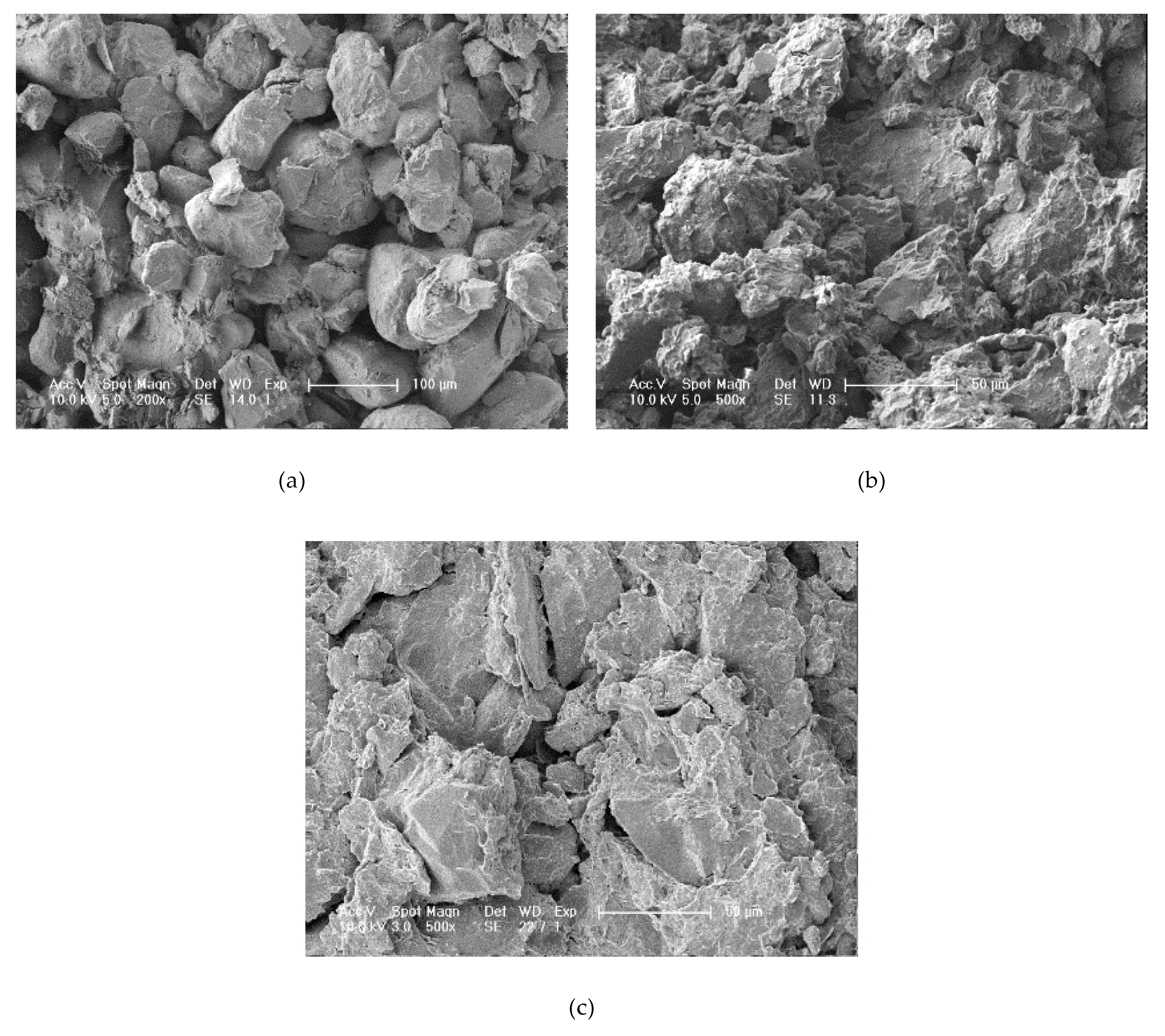 Sustainability 12 01264 g005 Sustainability 12 01264 g005