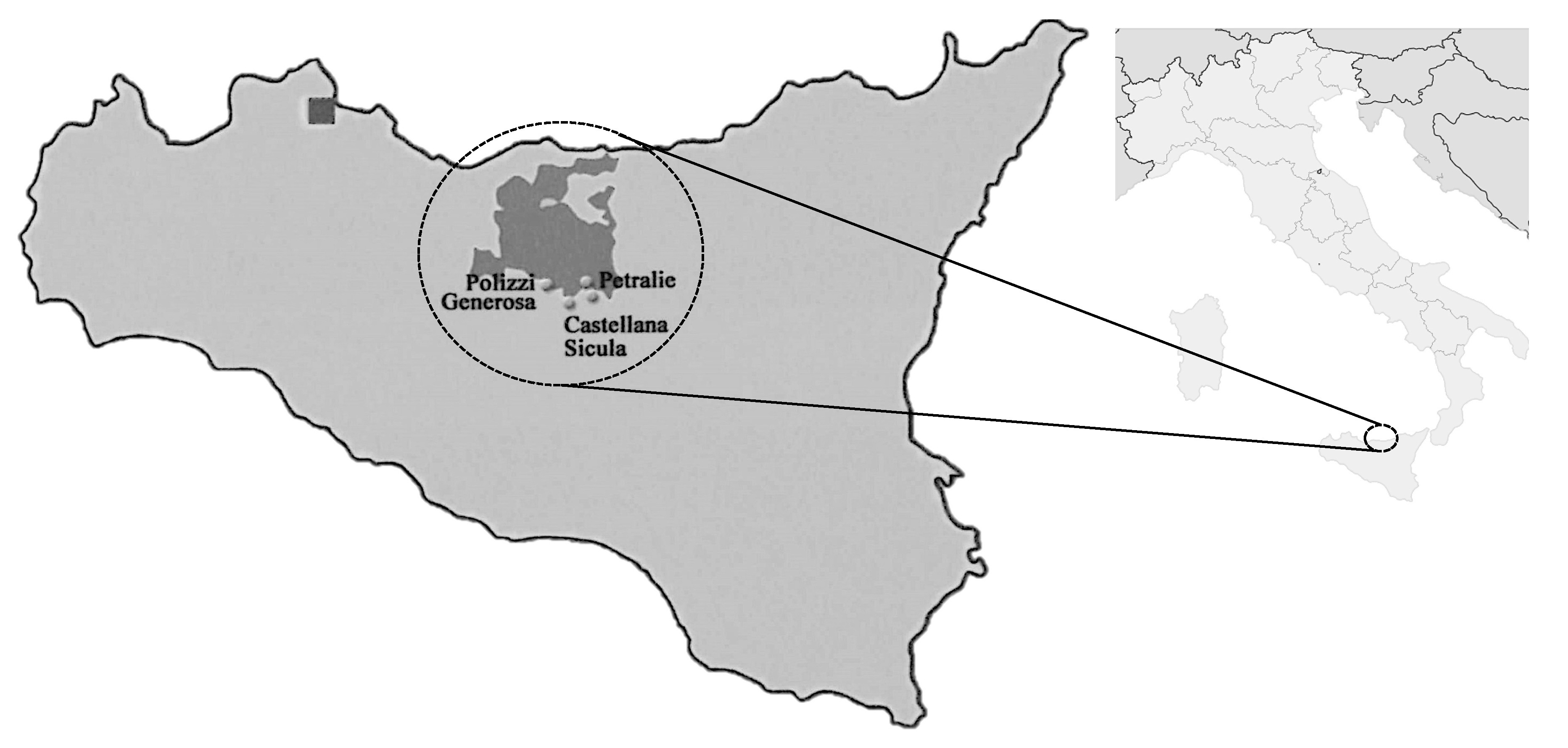 Sustainability 12 01272 g004