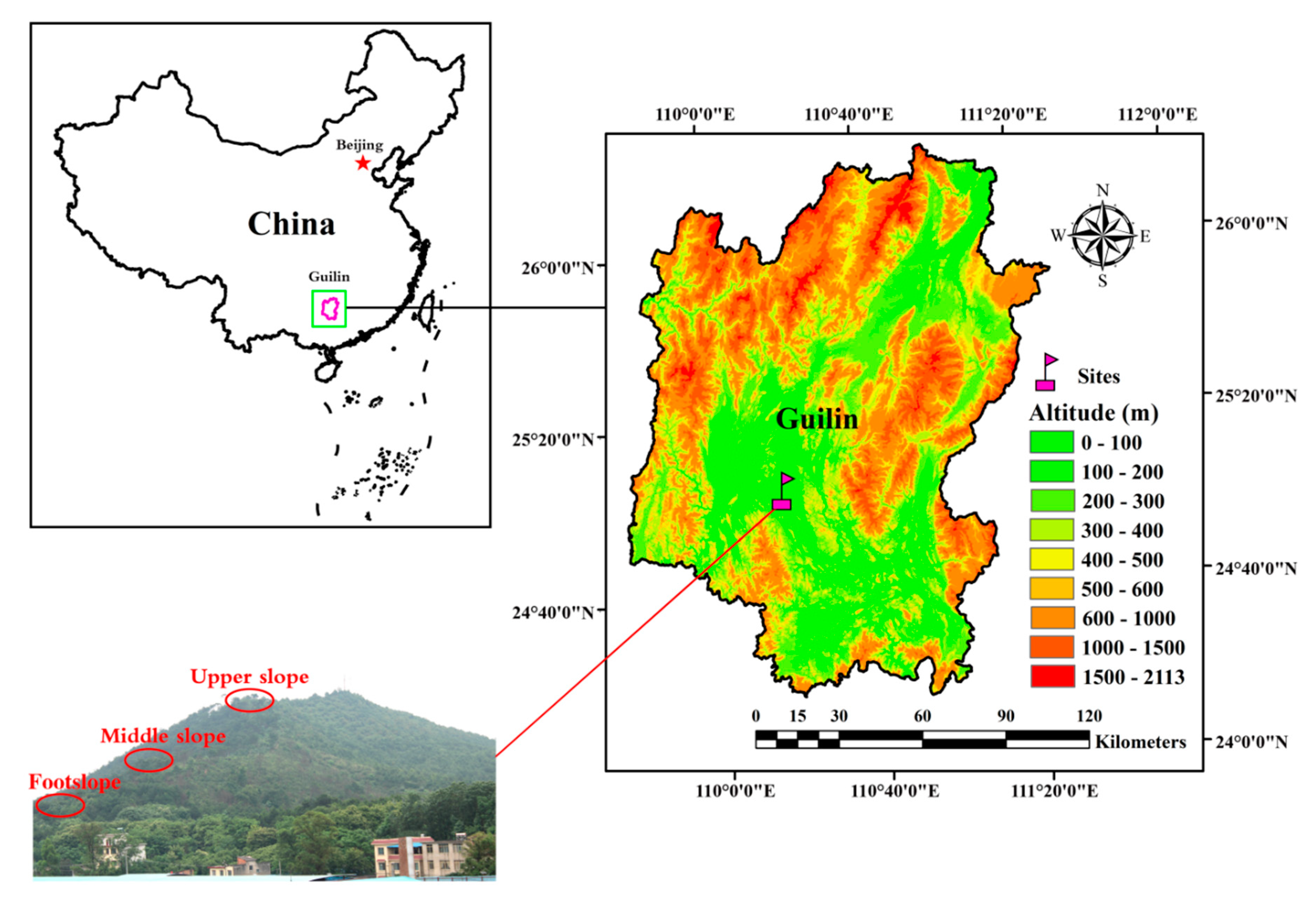 Sustainability 12 01303 g001 Sustainability 12 01303 g001