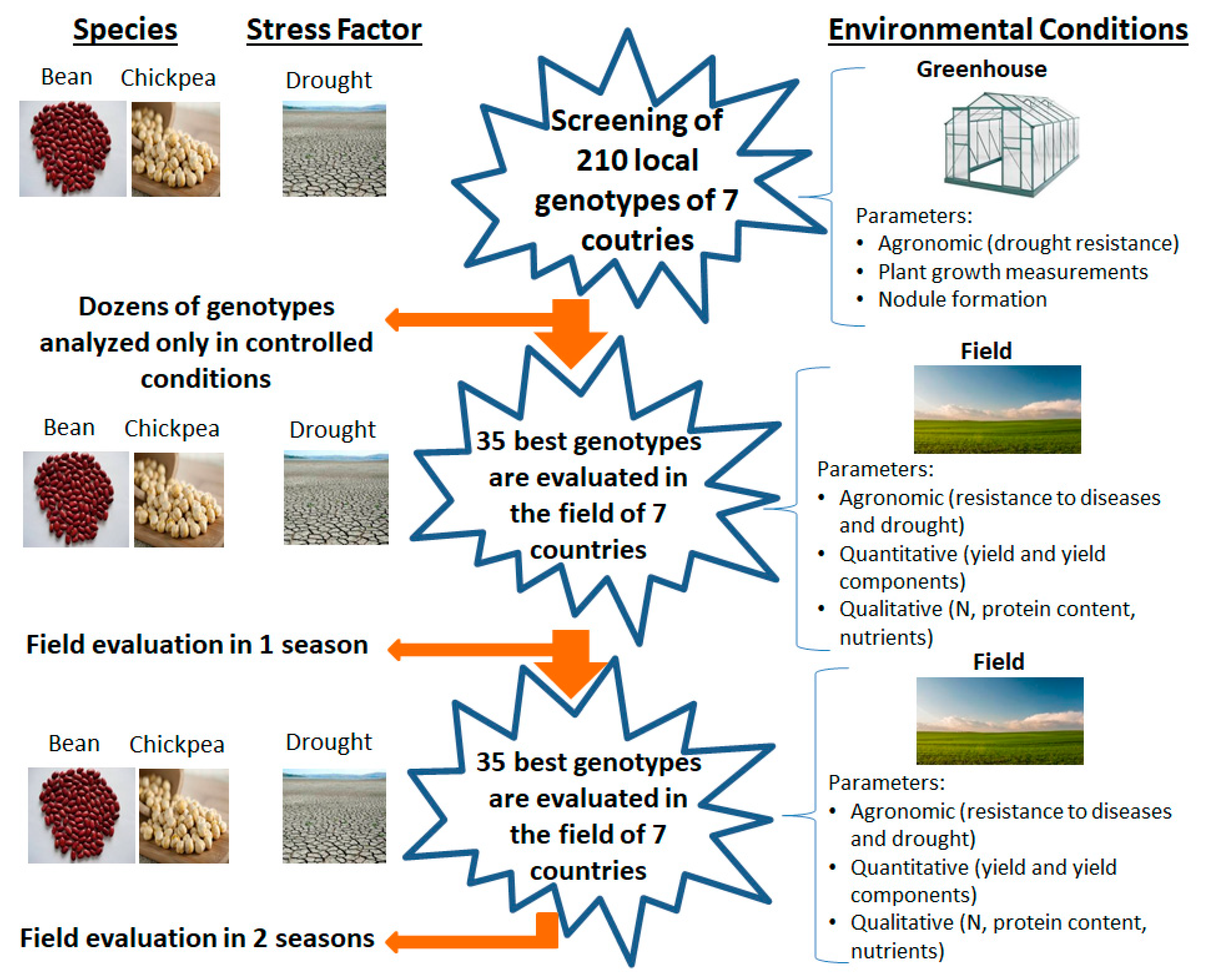 Sustainability 12 01315 g004 Sustainability 12 01315 g004