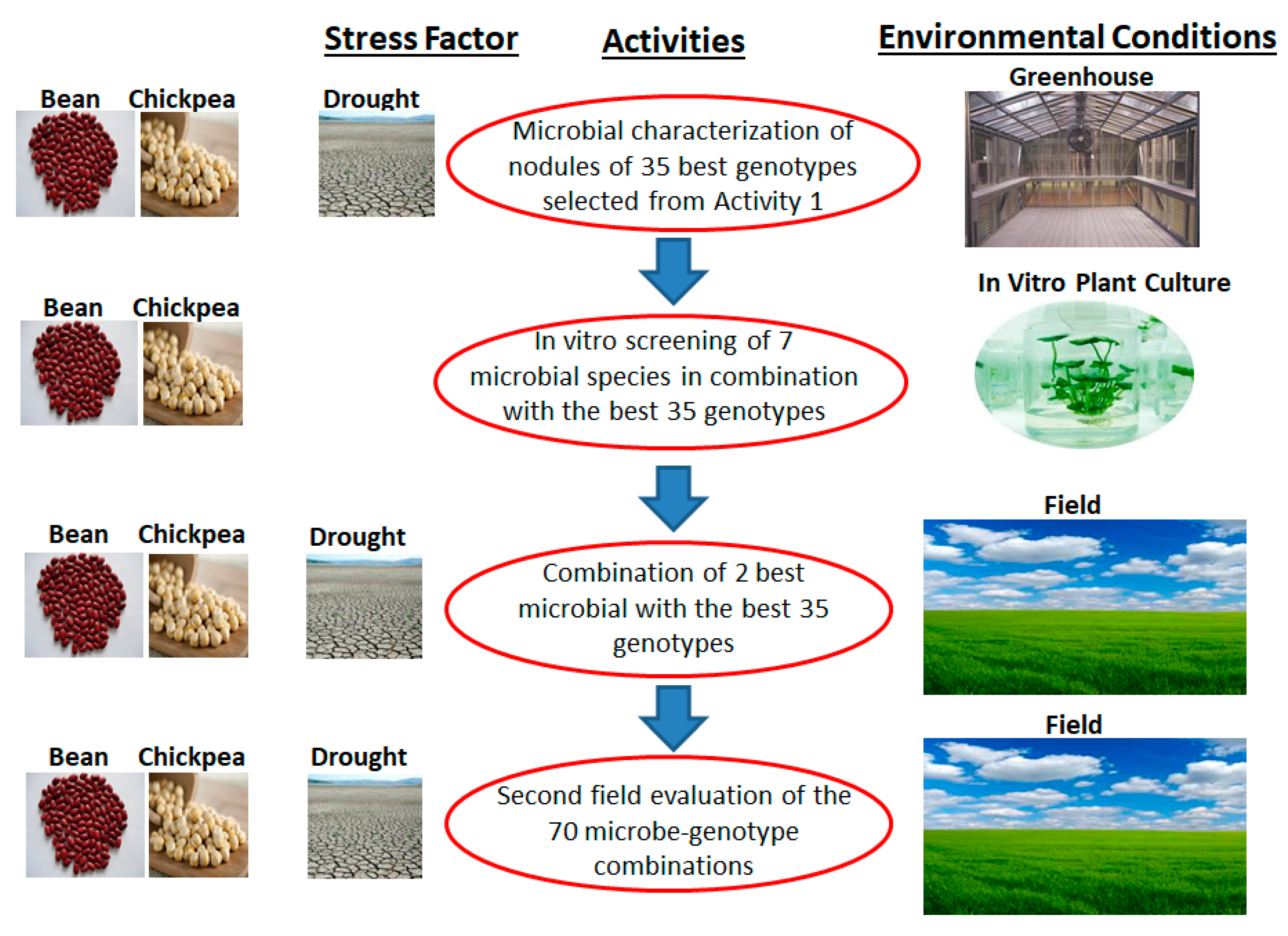 Sustainability 12 01315 g005 Sustainability 12 01315 g005