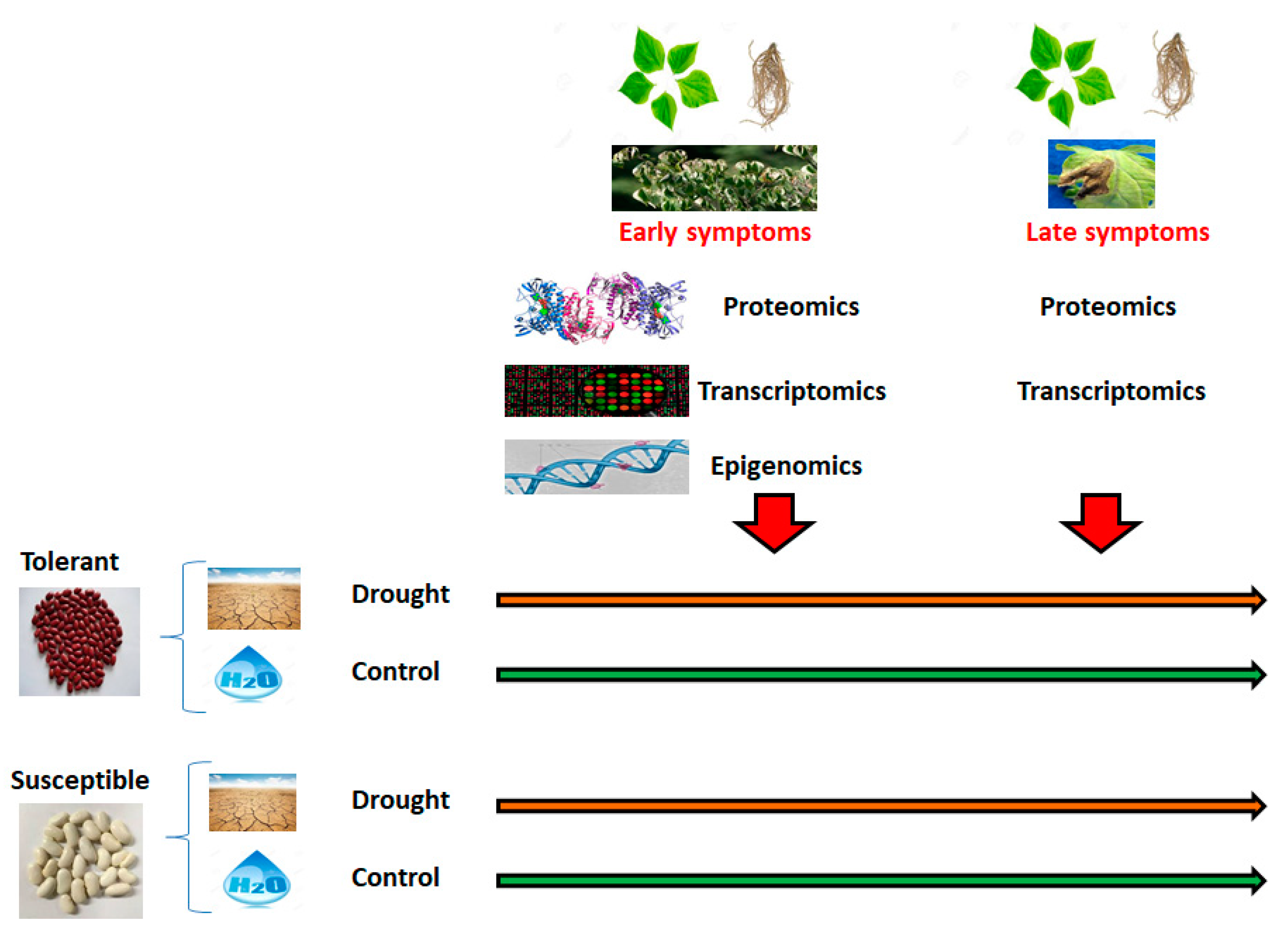 Sustainability 12 01315 g006 Sustainability 12 01315 g006